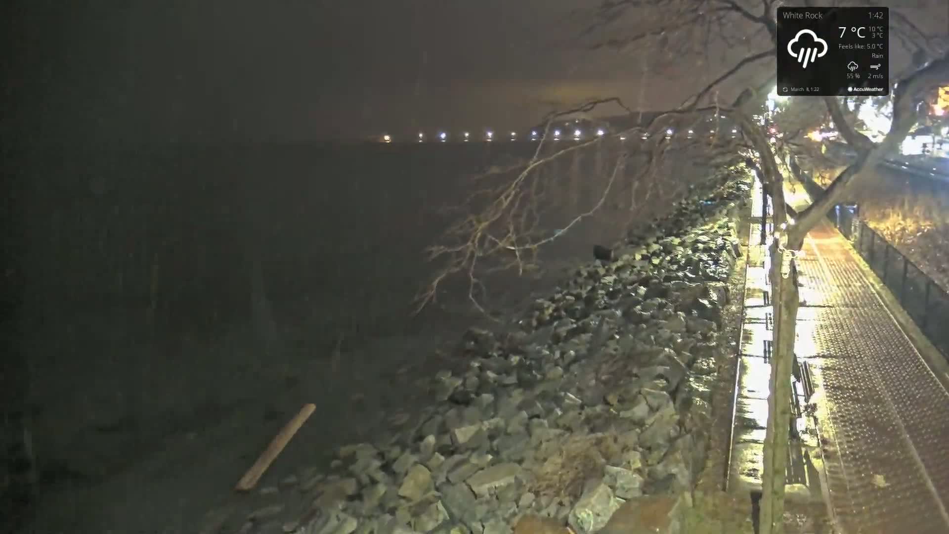 A nighttime view of a rain-slicked paved walkway beside a rocky shoreline and dark body of water, under a cloudy sky.