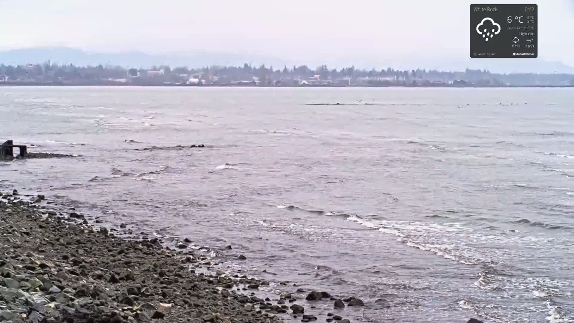 A rocky shoreline meets a calm, gray body of water under a light rain, with a distant treeline visible across the water.