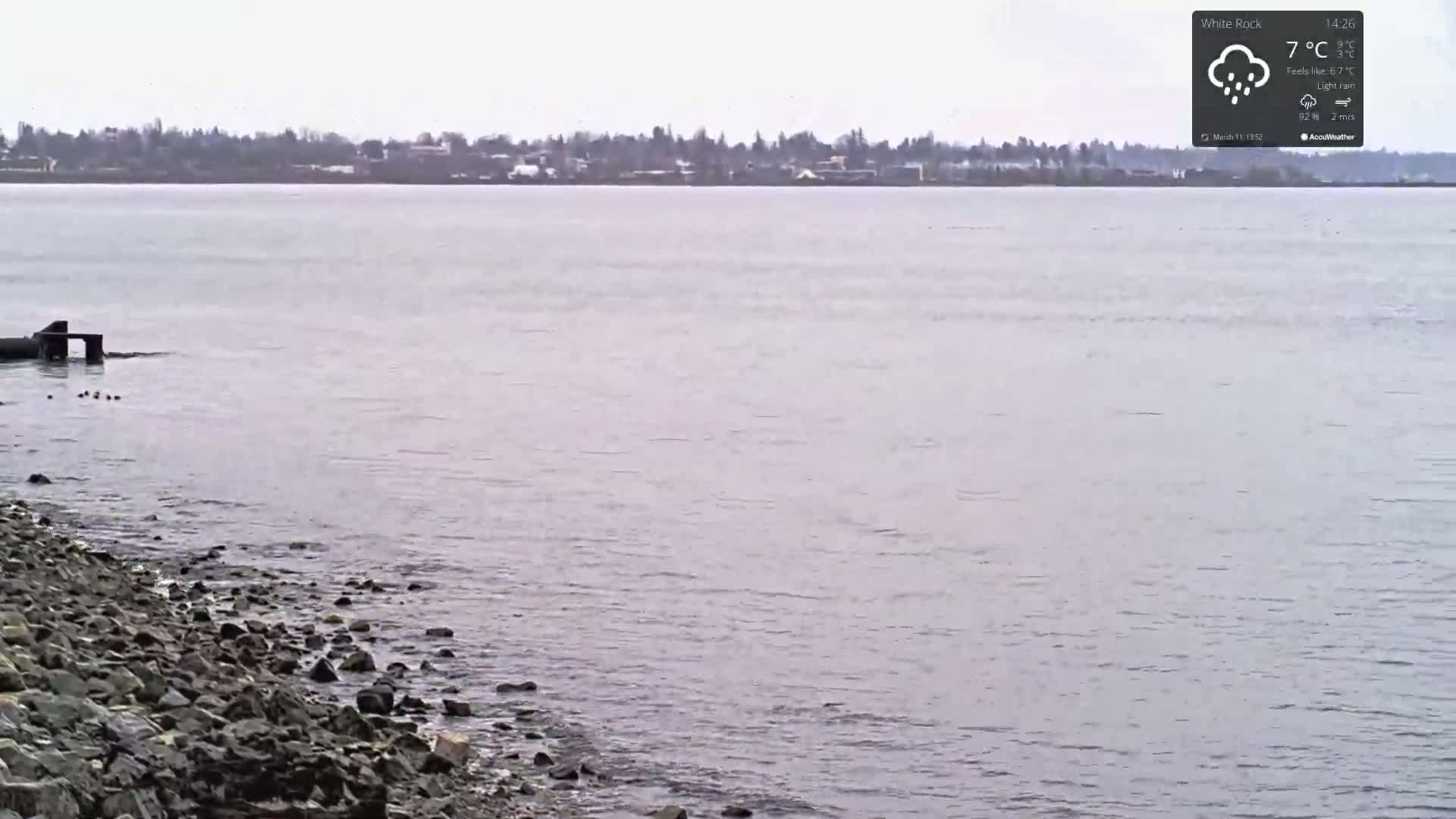 A rocky shoreline meets a calm body of water under a light rain, with a distant tree line visible on the other side.