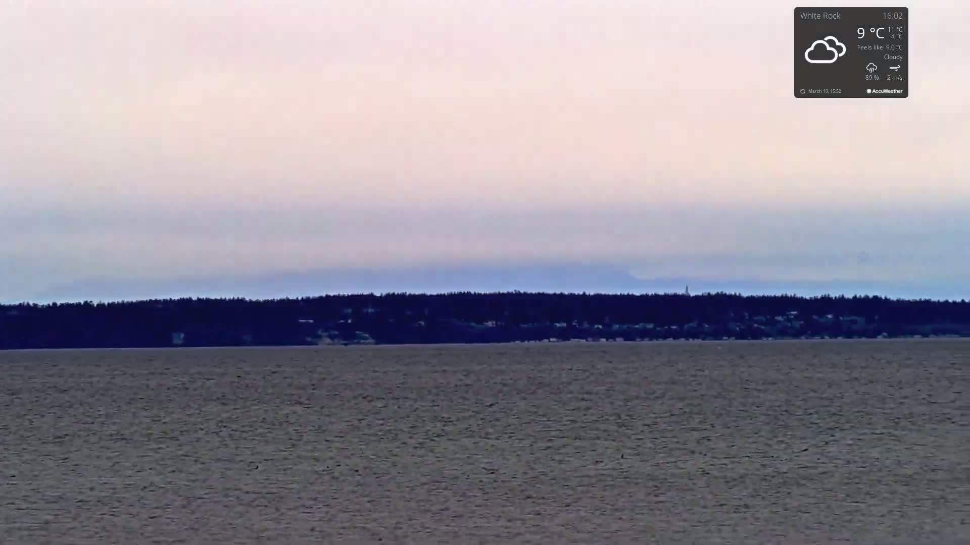 A calm body of water stretches to a distant shoreline of dark trees and buildings under a cloudy, pale sky.