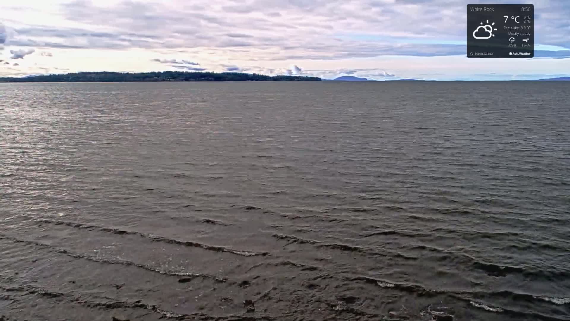 A mostly cloudy sky overlooks a dark body of water with small waves lapping at the shore, and a distant treeline visible on the horizon.