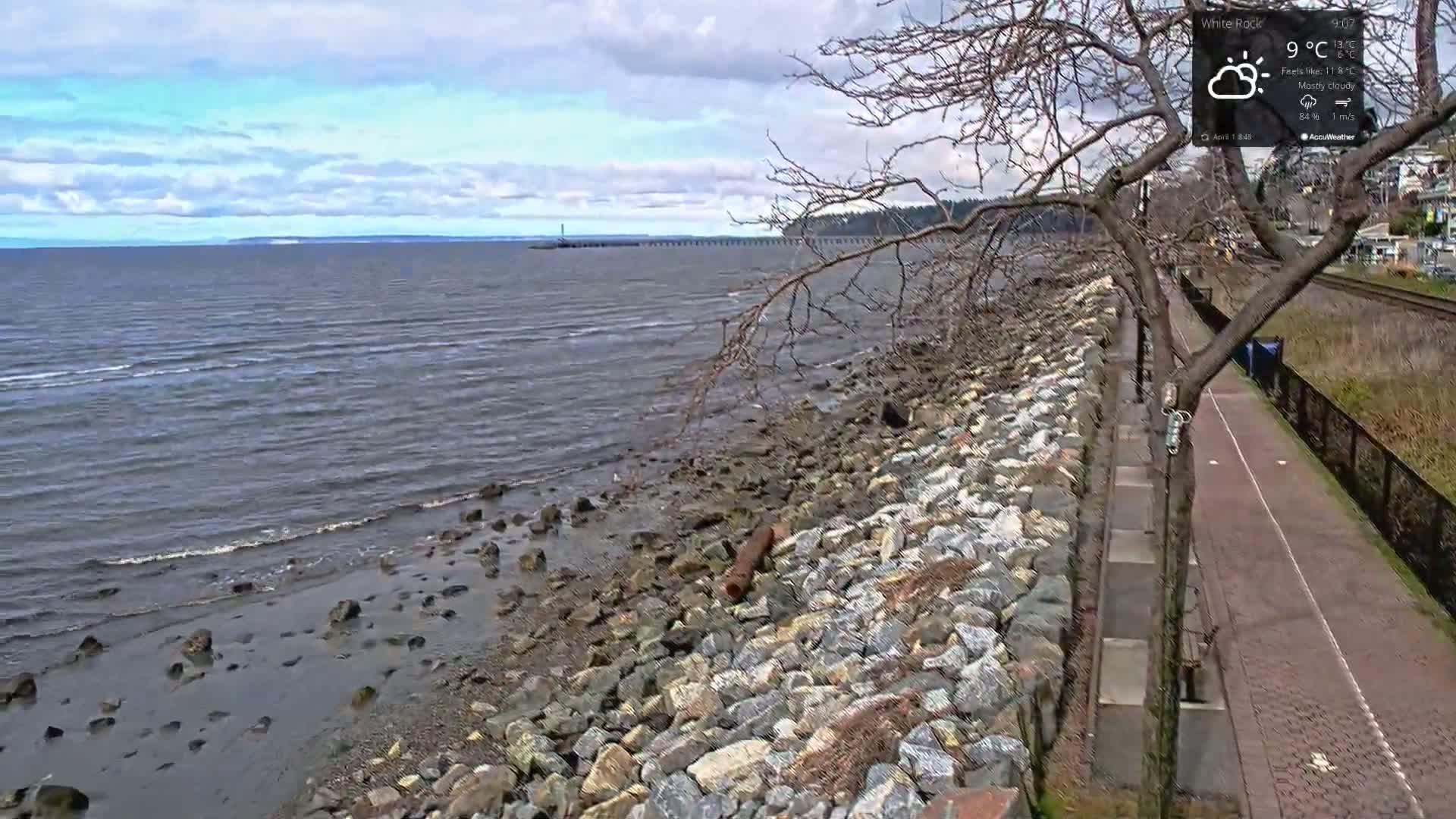 A mostly cloudy day shows a rocky shoreline with a paved pathway next to a tree, overlooking a calm body of water.