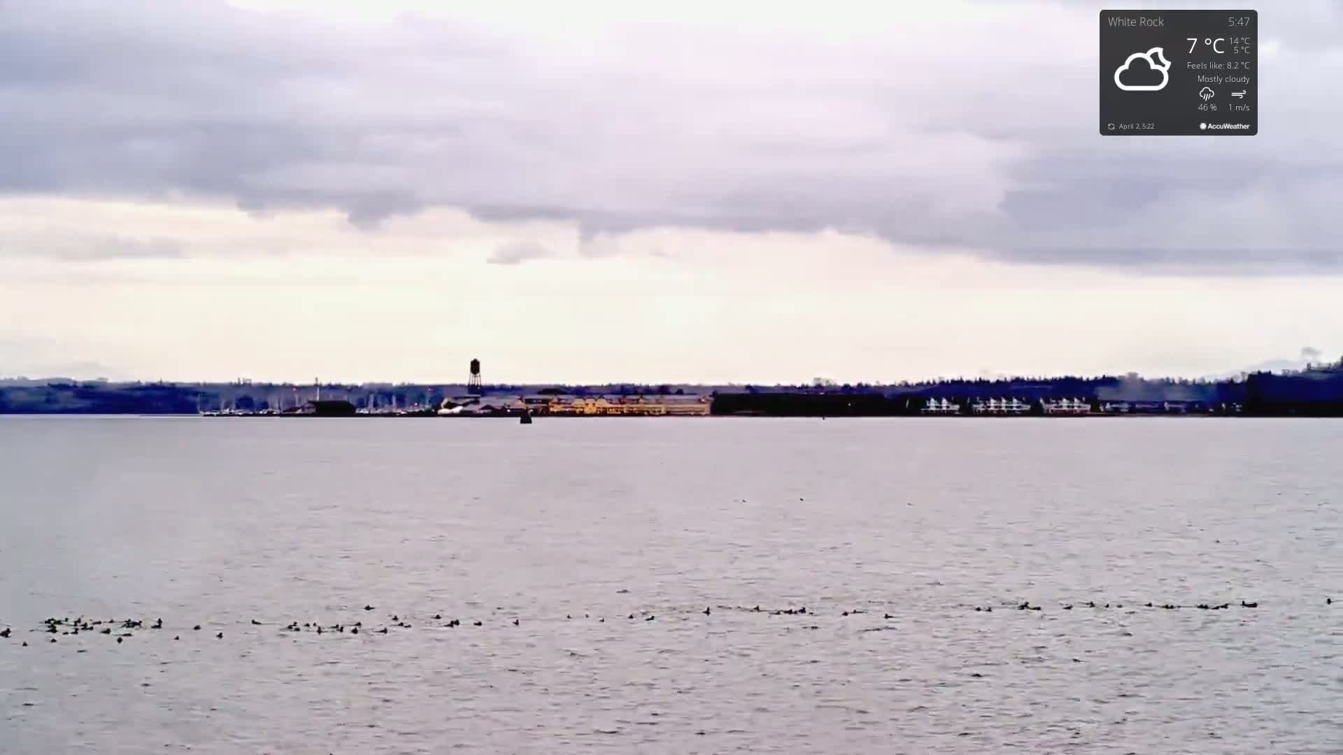 A flock of birds floats on a calm body of water under a mostly cloudy sky.