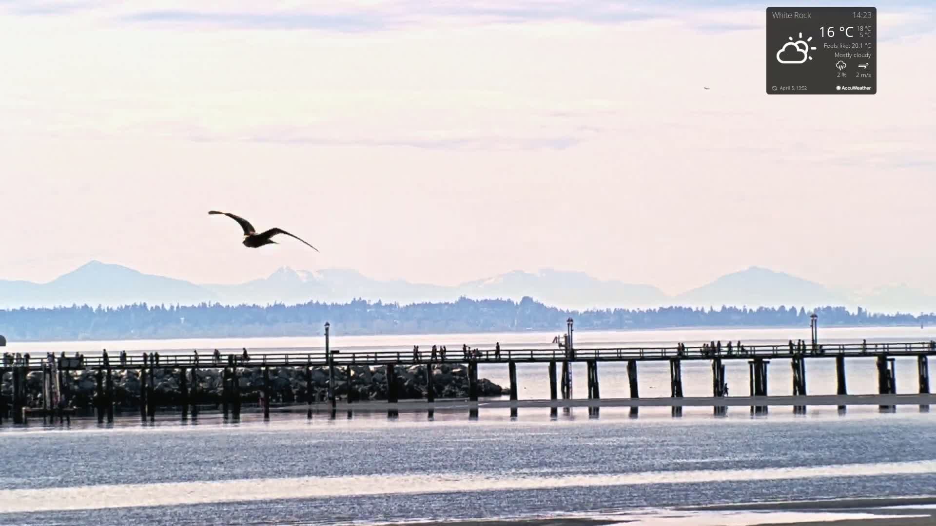 A bird flies over a long pier with people on it, which extends into a calm body of water with distant mountains under a mostly cloudy sky.