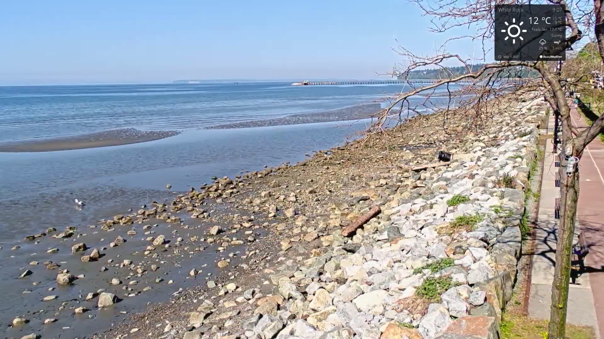 A rocky shoreline with calm, shallow water stretches toward a distant horizon under sunny skies.
