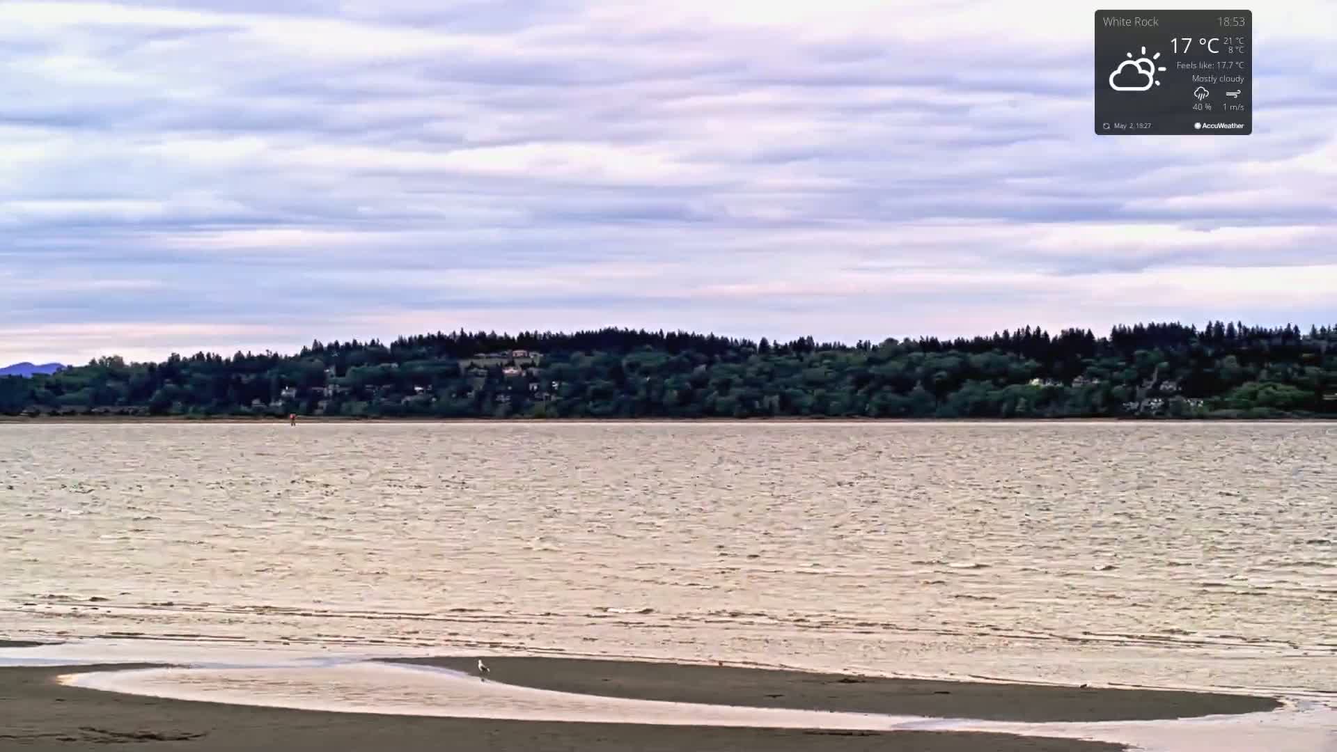 A mostly cloudy sky overlooks a calm body of water with a shoreline revealing a small section of exposed sand and a single bird near the water's edge, beyond which is a line of dark green trees.