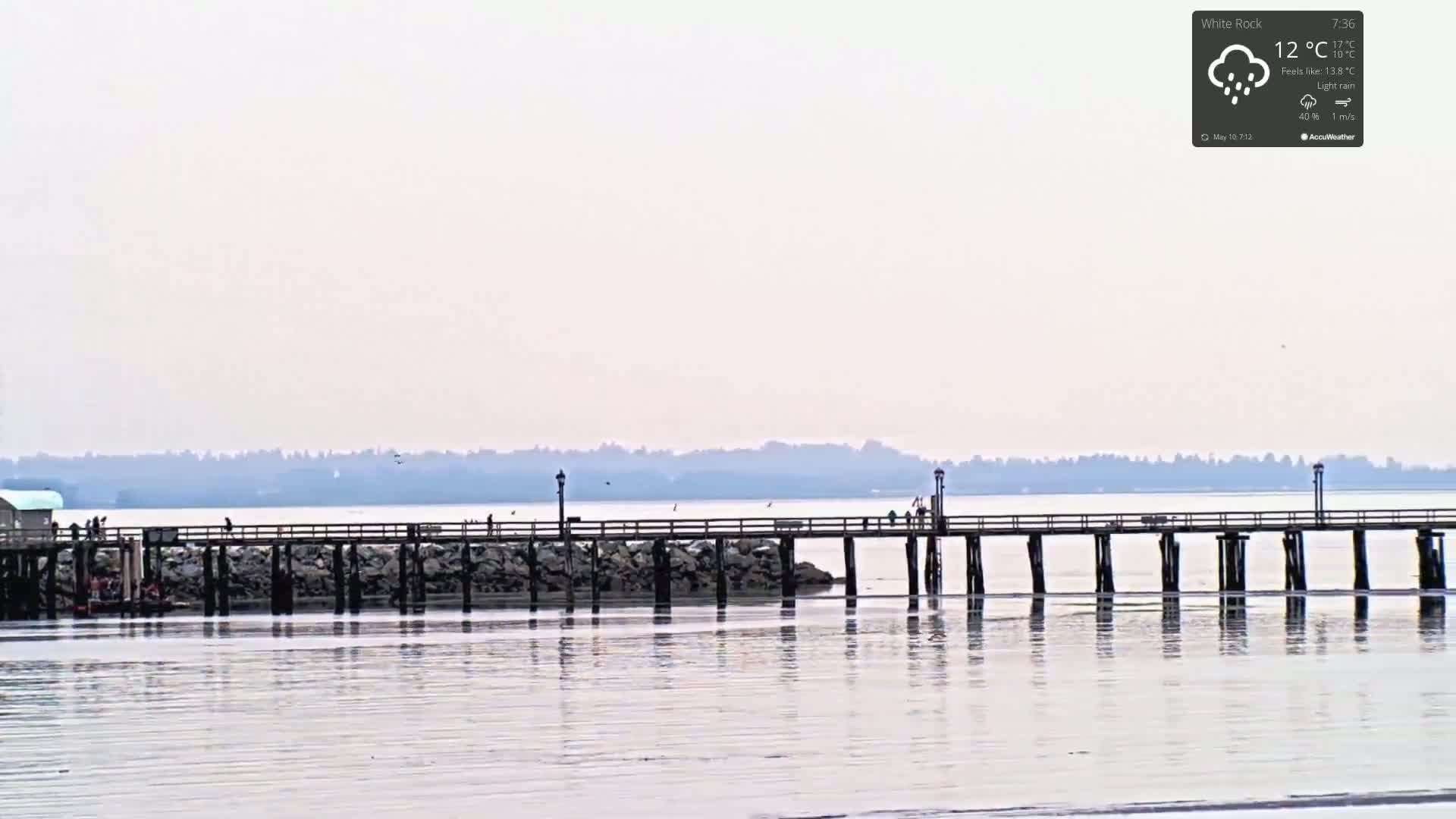 A long pier extends over calm water under a hazy, light rain sky, with a distant treeline visible on the horizon.