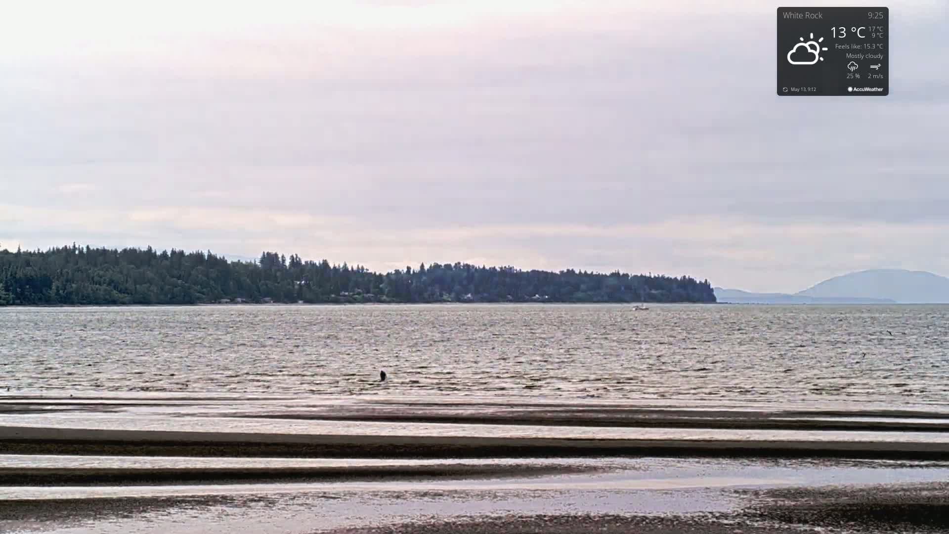 A mostly cloudy day reveals a calm body of water receding to reveal a wide expanse of tidal flats, with a distant line of dark green trees and a faint mountain range on the horizon.