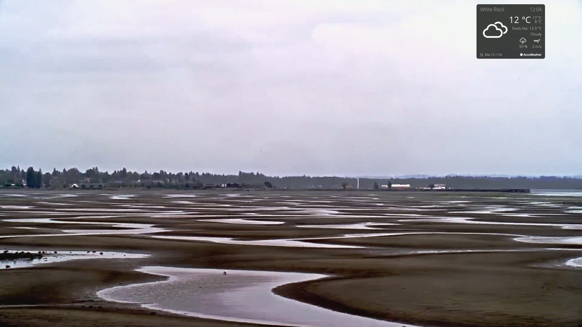 Under a cloudy sky, a wide expanse of dark mudflats is crisscrossed by numerous shallow, curving pools of water, with a distant treeline visible on the horizon.