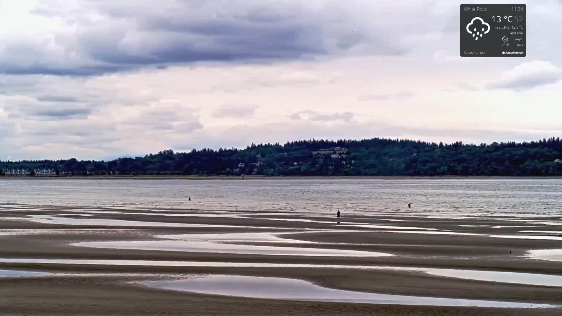 A wide expanse of mudflats patterned with pools of water stretches to a calm body of water, beyond which lies a tree-lined shore under a cloudy sky with light rain.