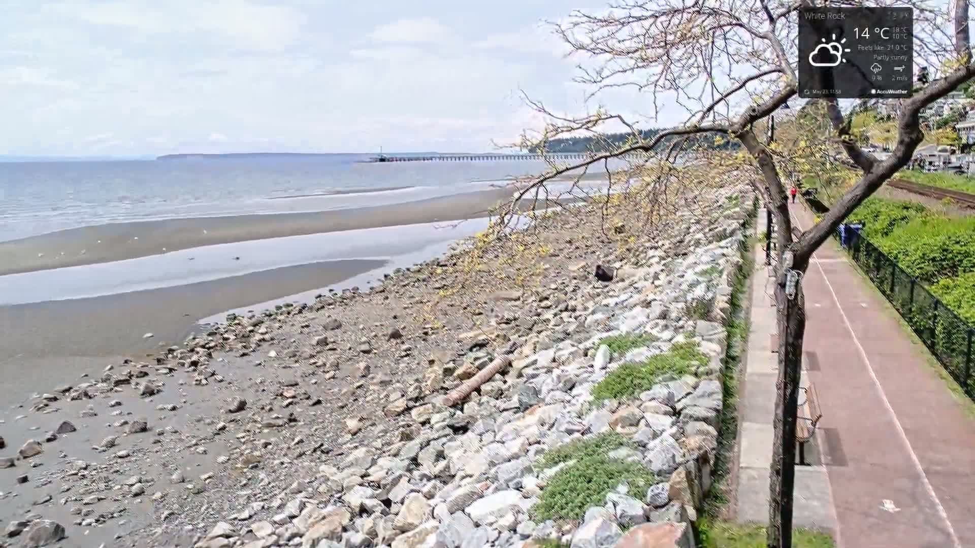 White Rock East Beach Live Cam - White Rock, Metro Vancouver, British Columbia, Canada