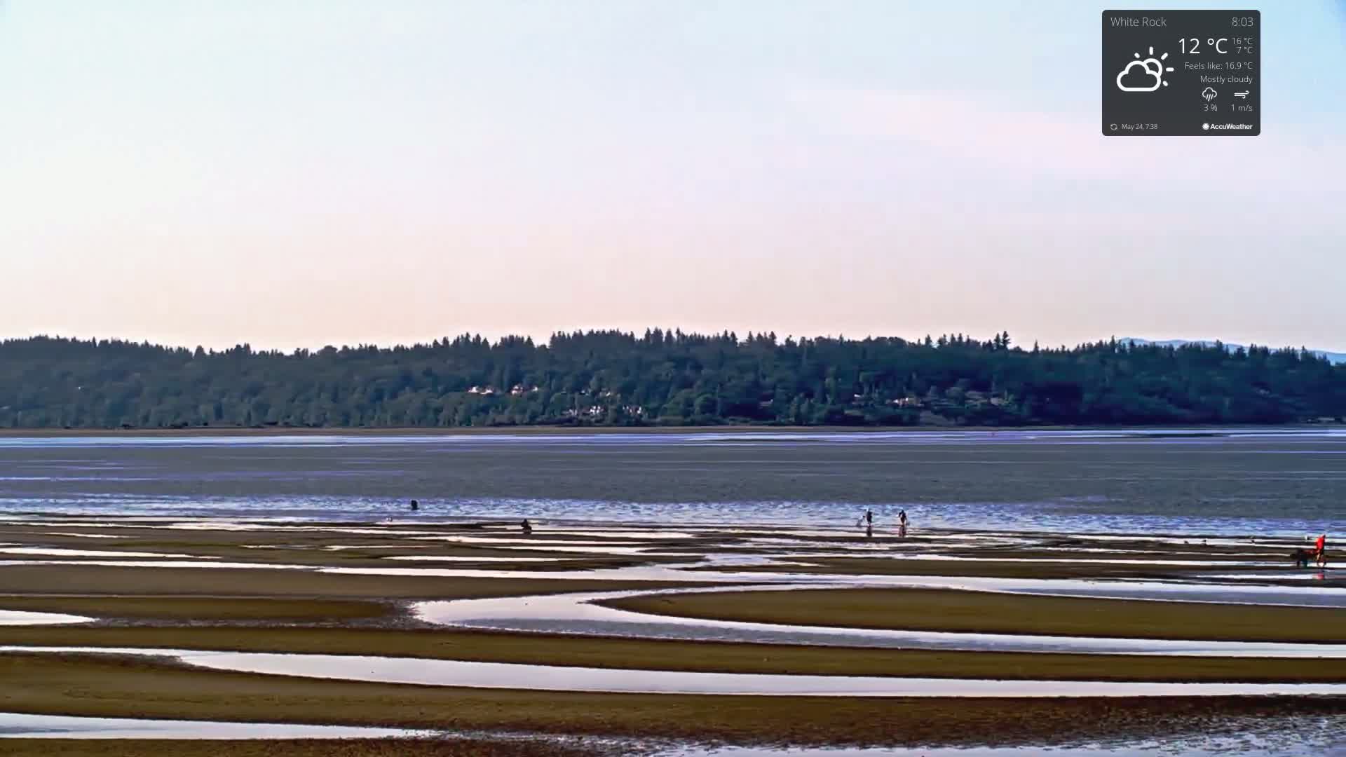 A mostly cloudy, 12°C day reveals a wide expanse of tidal flats with winding channels of water, leading to a calm bay and a distant tree-lined shore.