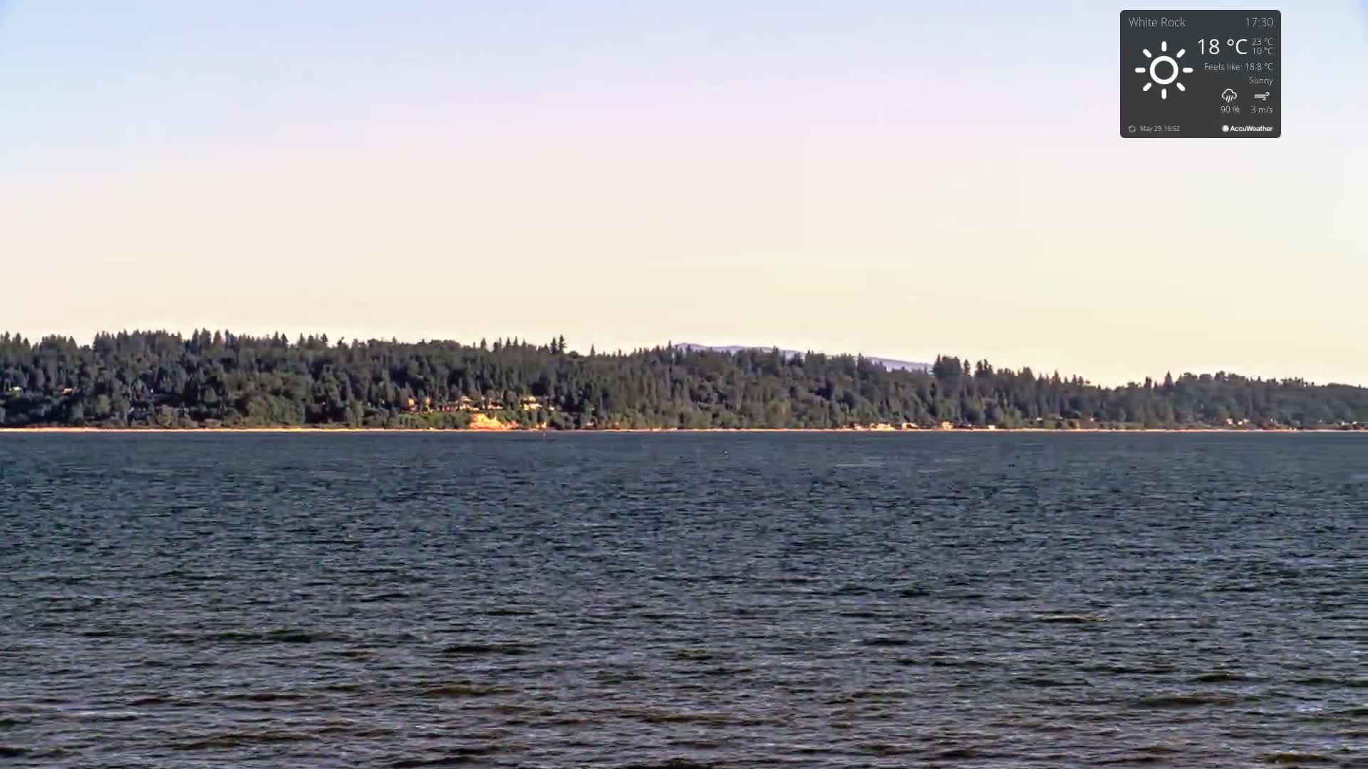 A calm body of water stretches to a tree-lined shore under a sunny sky.