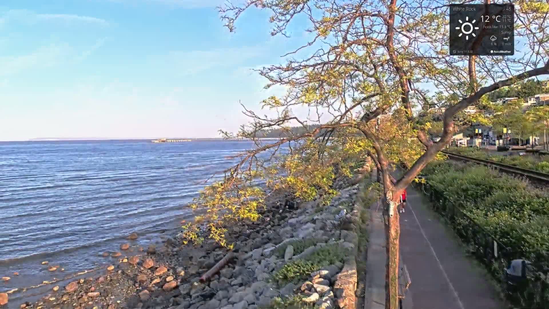 A calm, sunny day reveals a rocky shoreline with a tree overhanging a paved pathway beside a body of water, a pier in the distance, and a railway track beyond.