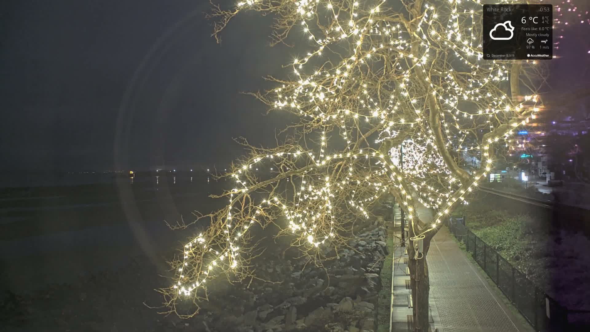 A large, bare tree adorned with bright white string lights stands prominently next to a paved pathway and railway tracks, overlooking a calm, dark body of water with faint distant lights under a mostly cloudy night sky.