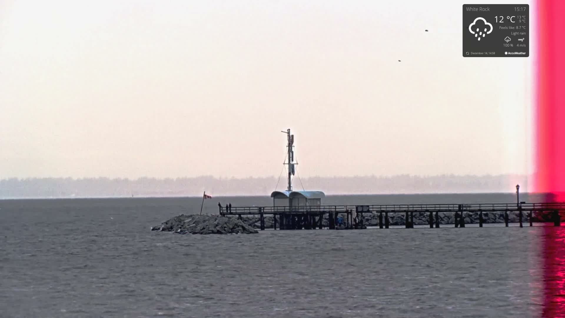 A large, bare tree adorned with bright white string lights stands prominently next to a paved pathway and railway tracks, overlooking a calm, dark body of water with faint distant lights under a mostly cloudy night sky.