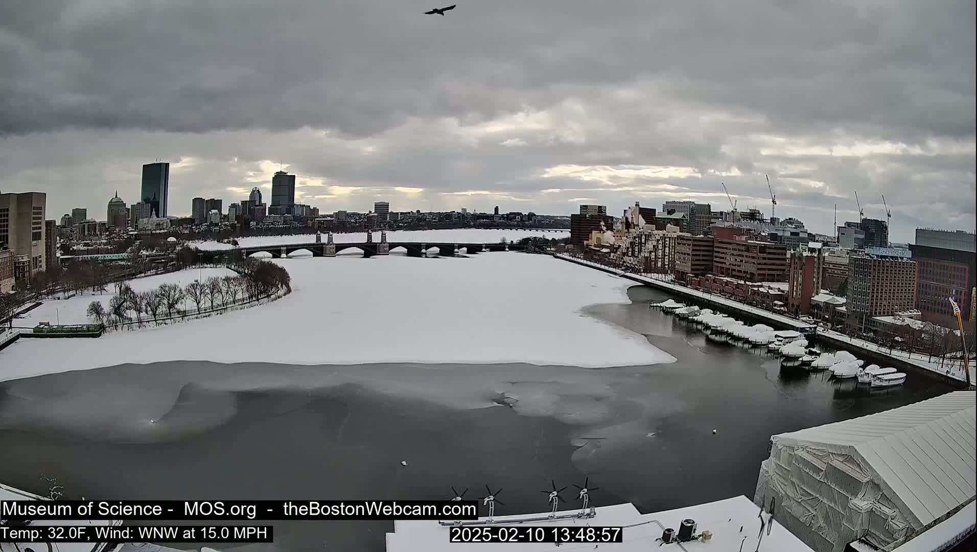 A partially frozen river flows through a snow-covered city, under a cloudy sky, with a bird in flight.