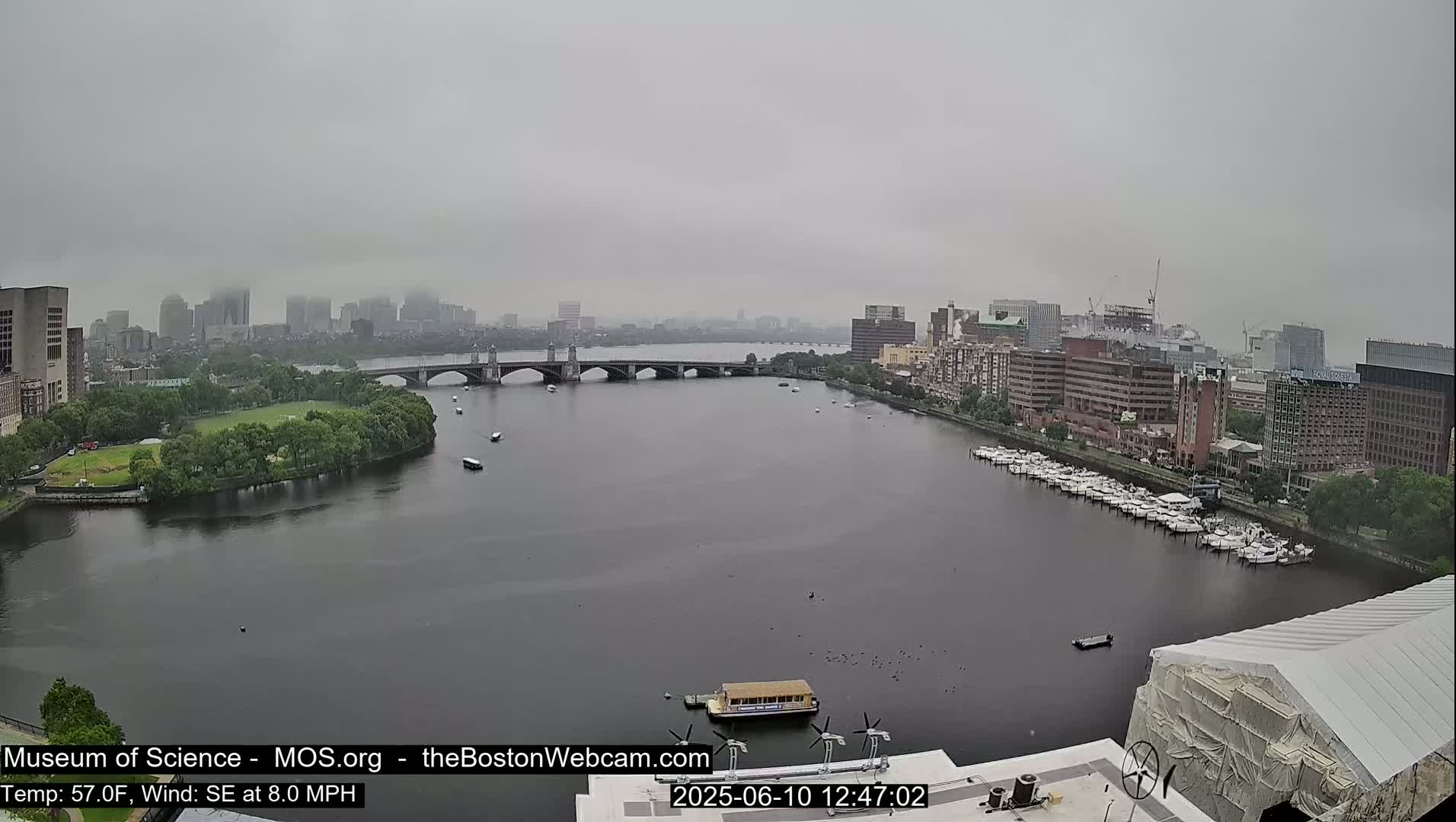 A bridge spans a river, with a city skyline visible in the distance under an overcast sky.