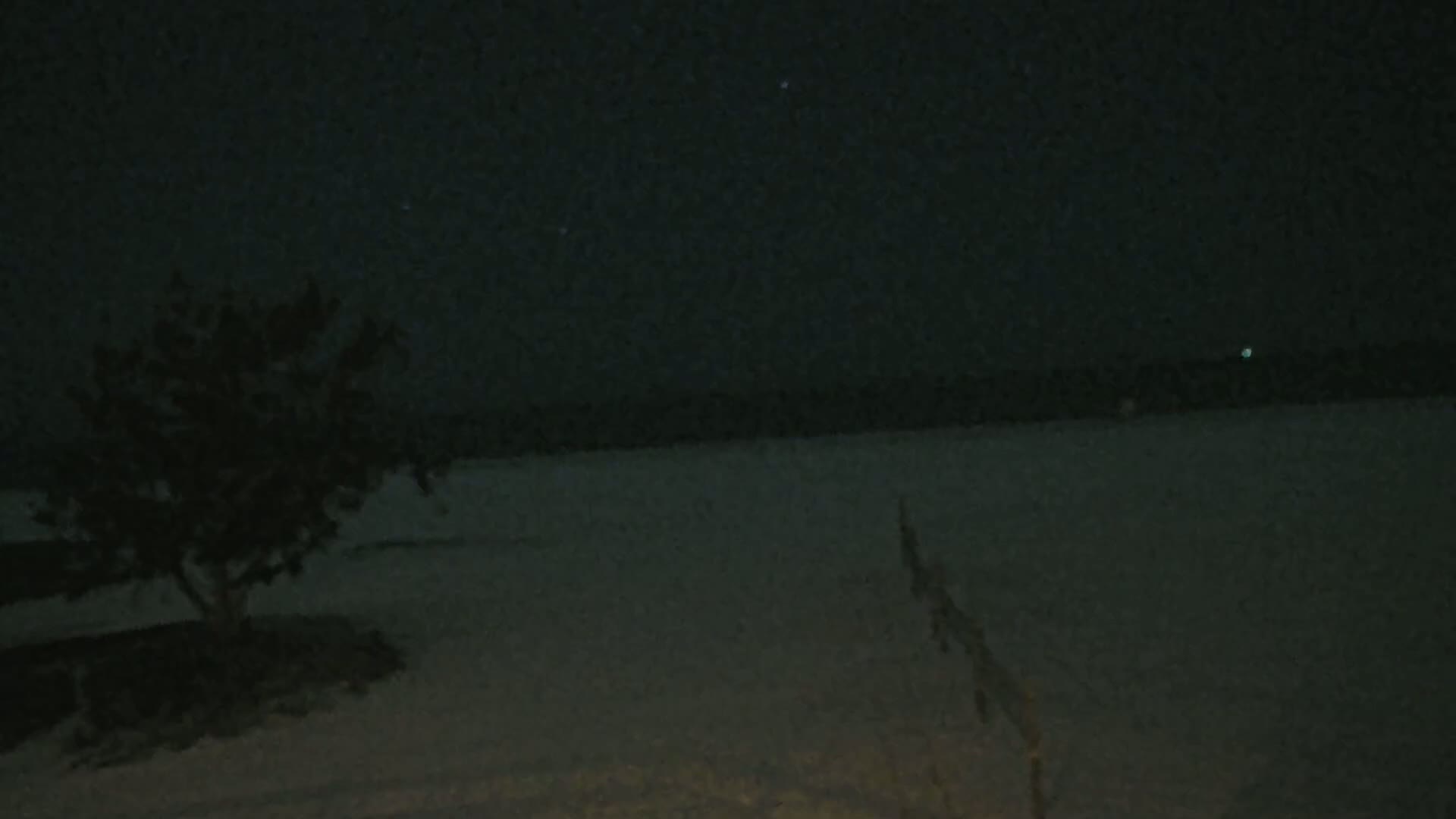 A small tree stands near a fence on a dark, snow-covered ground under a night sky.