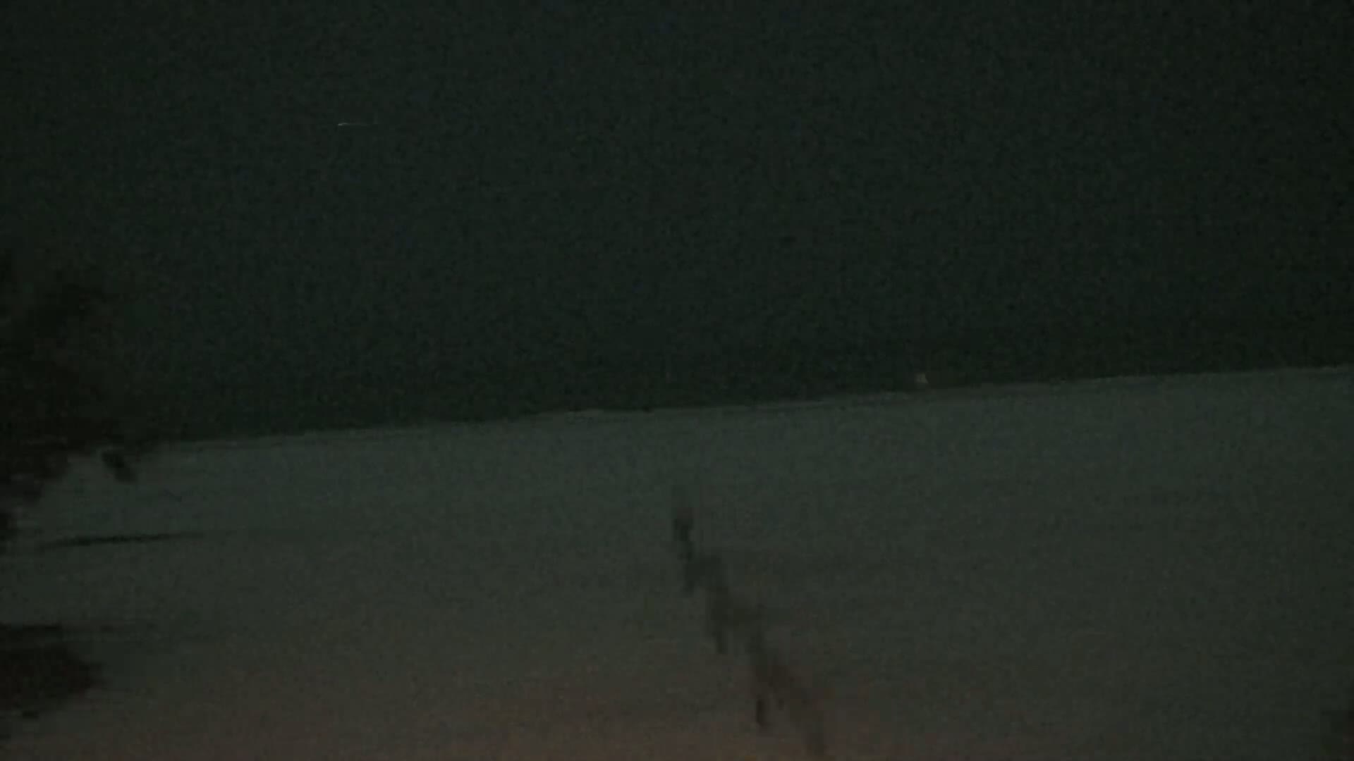 A dark, snow-covered ground stretches out under a night sky.