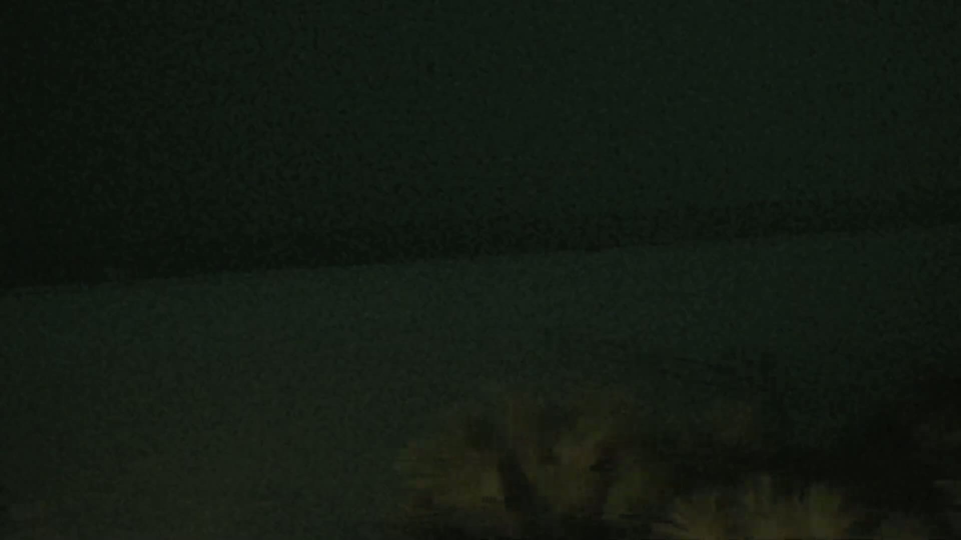 A dark, blurry image shows indistinct light-colored shapes at the bottom, possibly vegetation, under a dark, possibly nighttime sky.