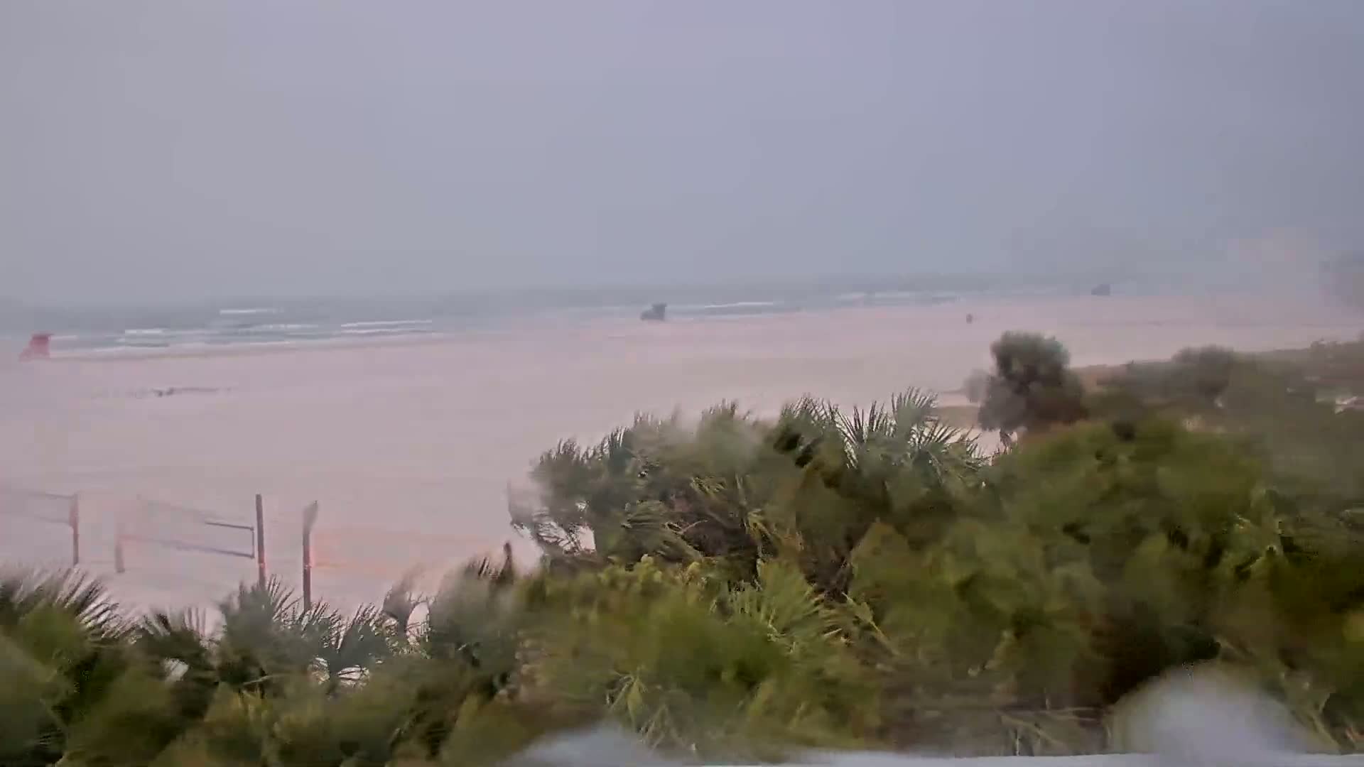 A windy, overcast day shows a beach with a volleyball net and palm trees bending in the wind, with the ocean visible in the background.