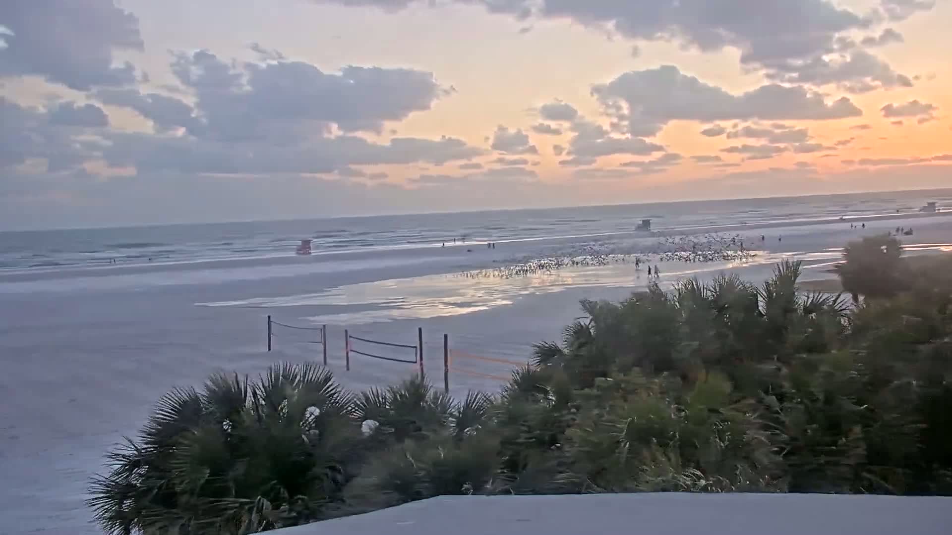 A wide sandy beach with a volleyball net, a flock of birds near the water, and palm trees in the foreground, all under a partly cloudy sunset sky.