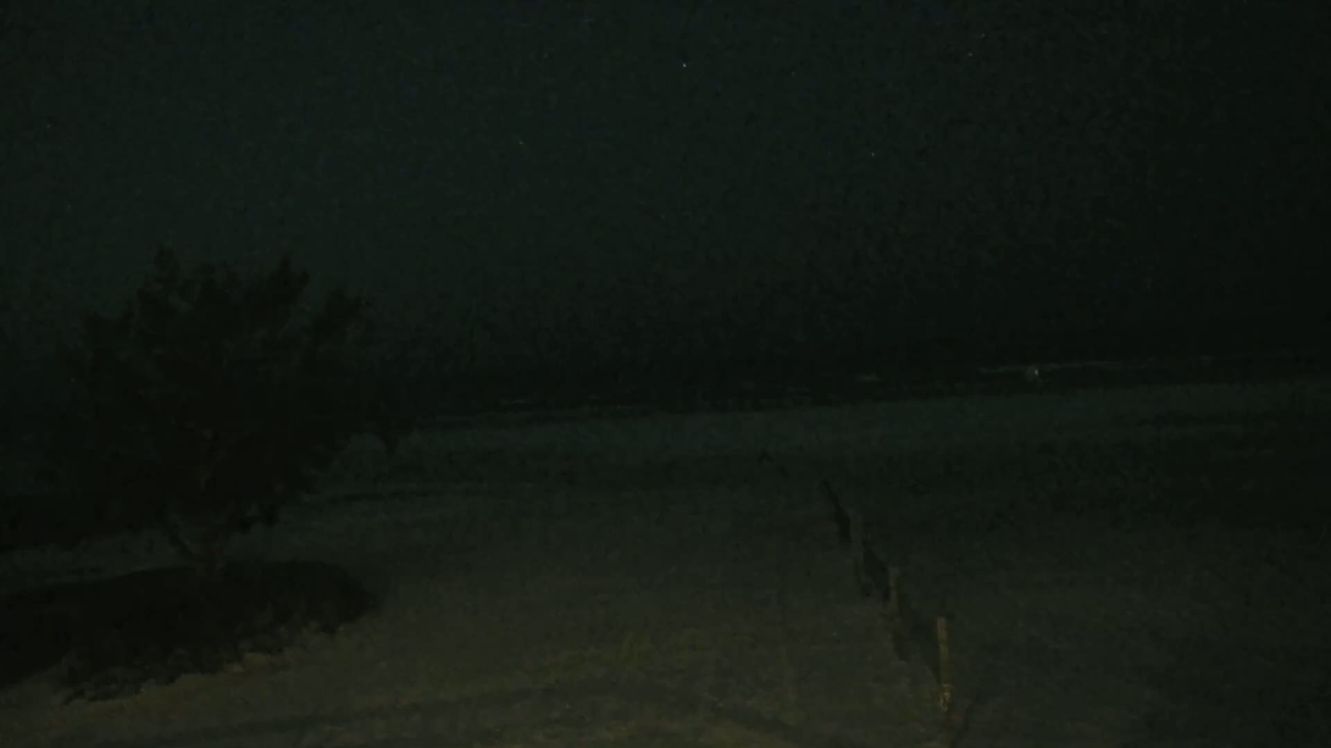A dark, nighttime beach scene shows a small tree to the left and a wooden fence leading towards a dark ocean under a starlit sky.