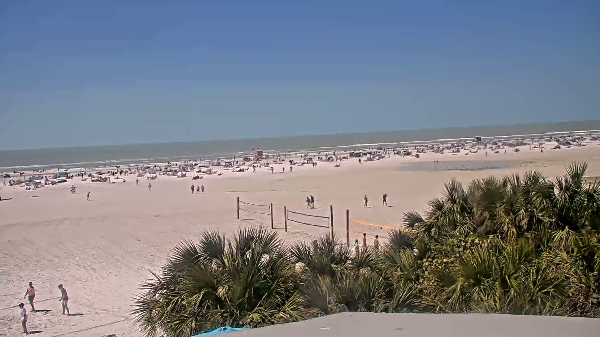 A crowded beach with calm ocean waves under a clear blue sky is partially obscured by palm trees in the foreground.