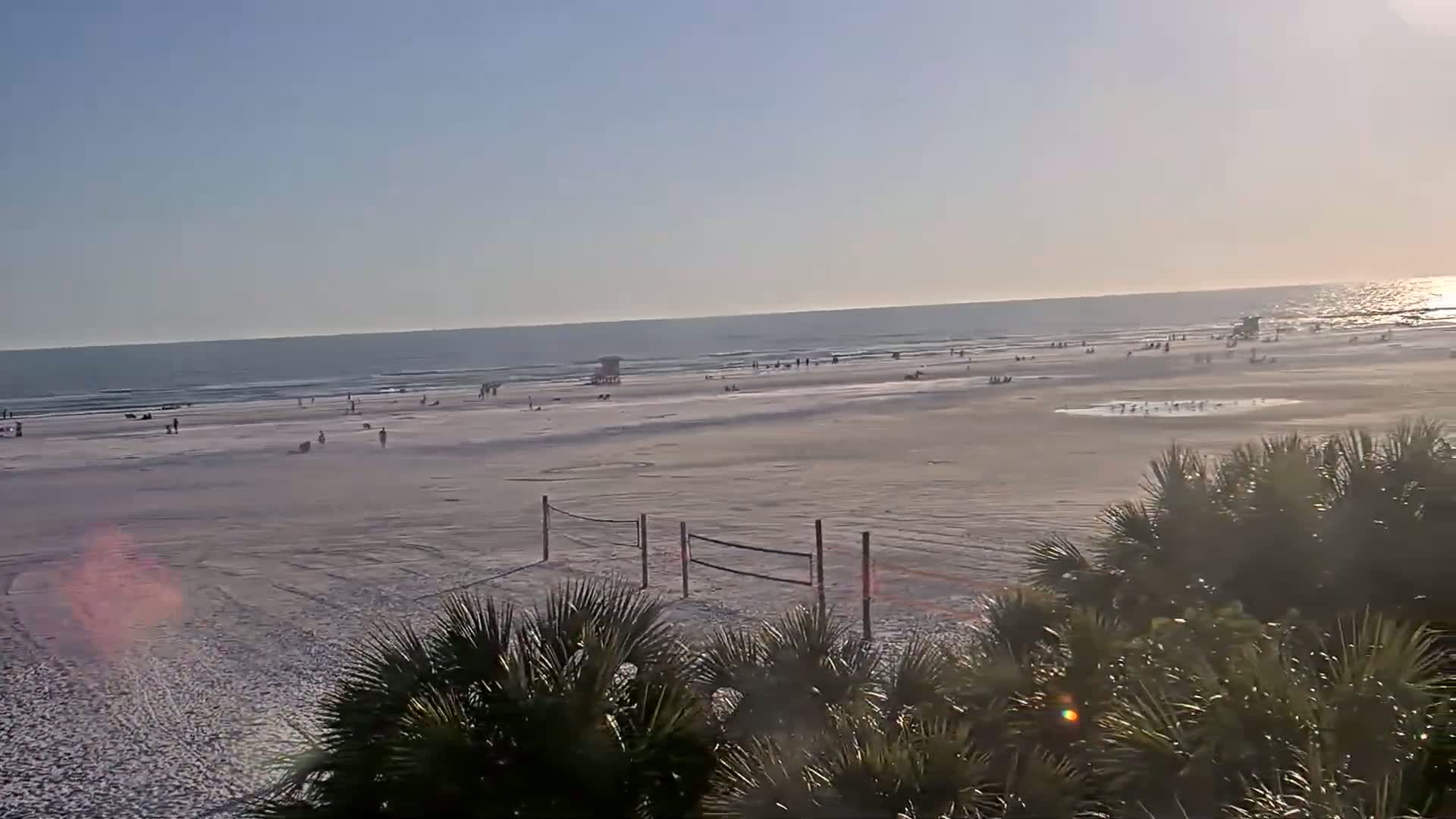 A wide, sandy beach with a few people and a volleyball net is seen from behind shrubbery on a sunny day with calm ocean waves.