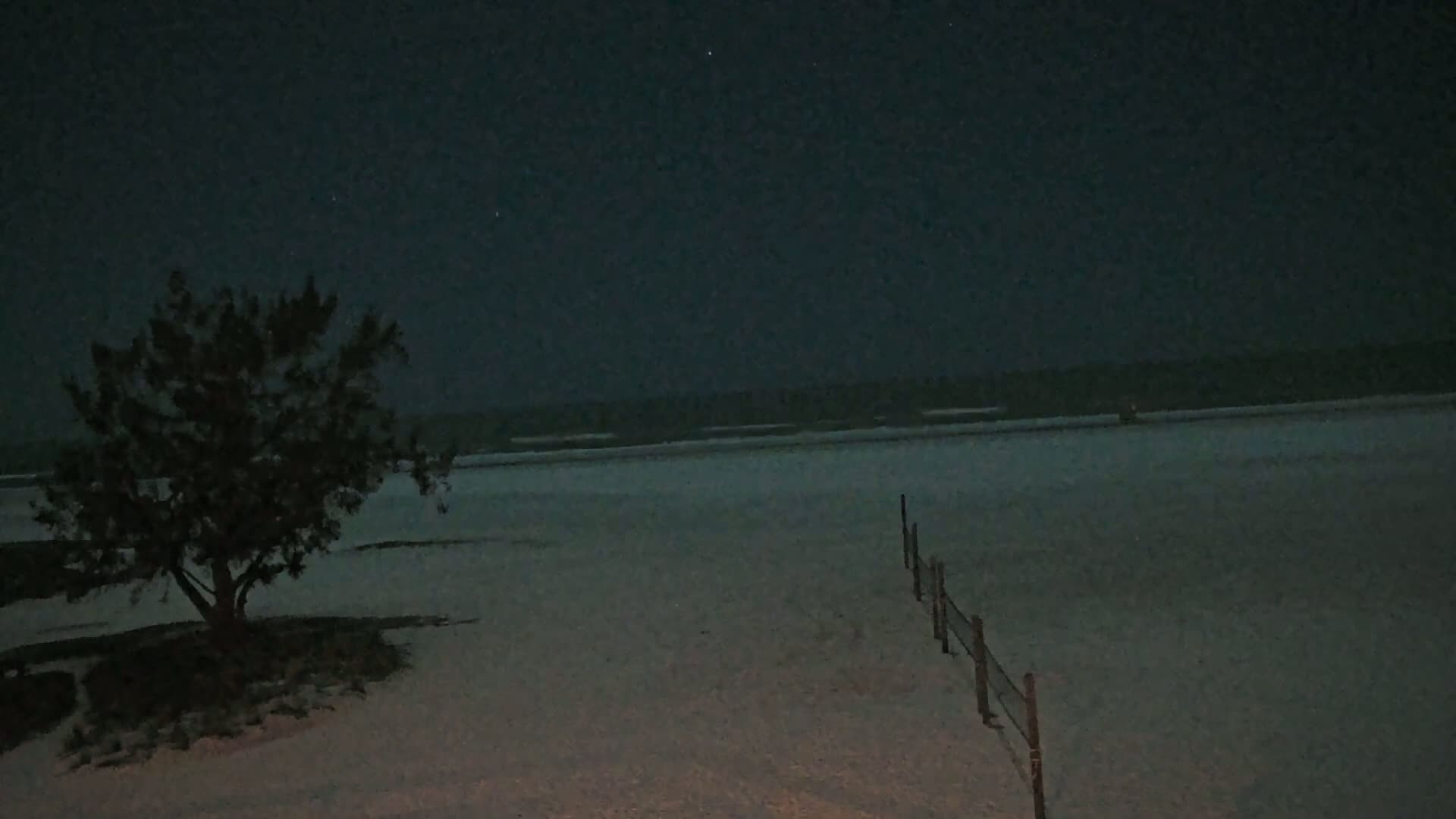 A lone tree stands on a sandy beach at night under a dark, clear sky, near a short fence.