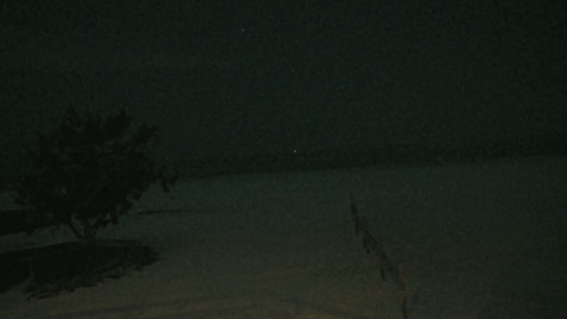A dark, snowy landscape at night is shown, featuring a small tree to the left and a fence in the middle ground.