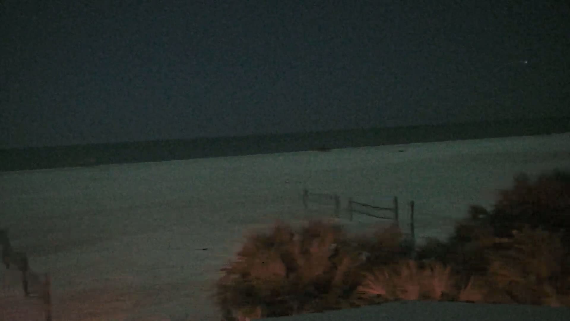 A dark, nighttime beach scene shows a calm ocean under a mostly clear sky, with vegetation in the foreground.