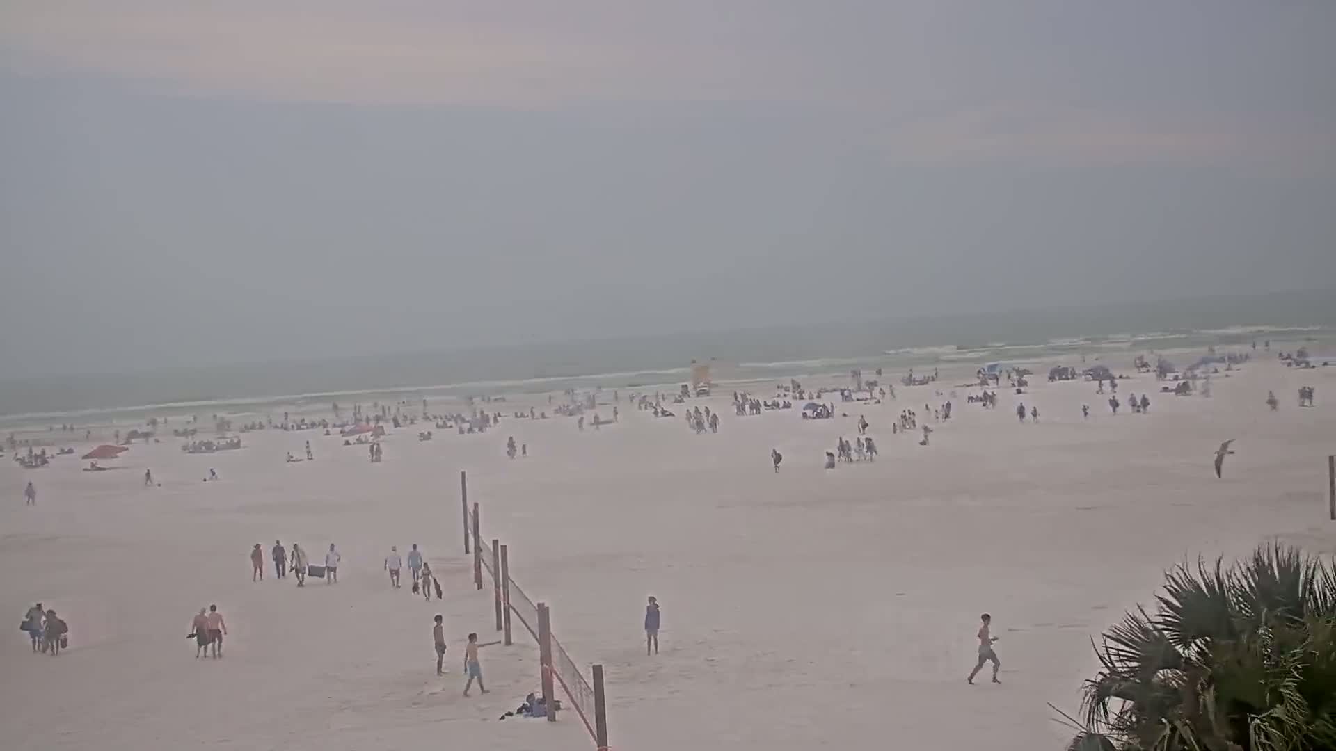 A hazy beach scene shows numerous people scattered across the sand, near the ocean under an overcast sky.