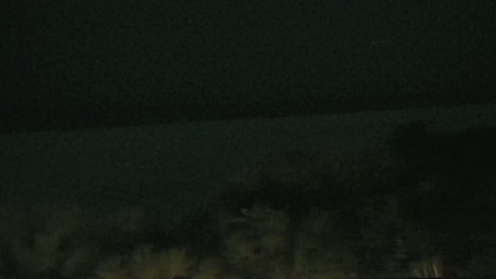 A low-light, nighttime image shows a dark body of water with indistinct shapes in the foreground that may be vegetation or land.