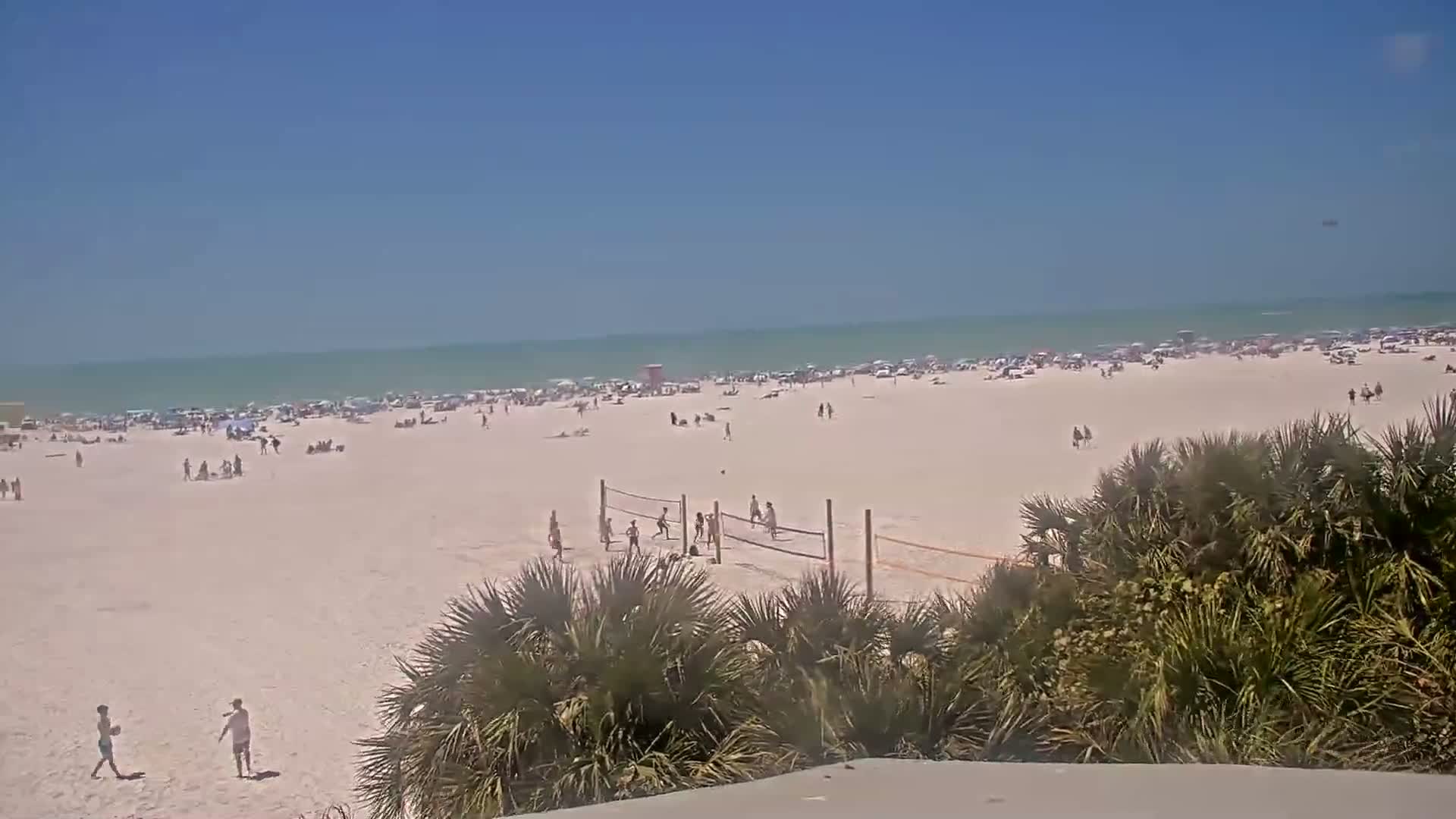 A sunny beach scene shows many people enjoying the sand and ocean under a clear blue sky, with a volleyball game in progress near some palm trees in the foreground.