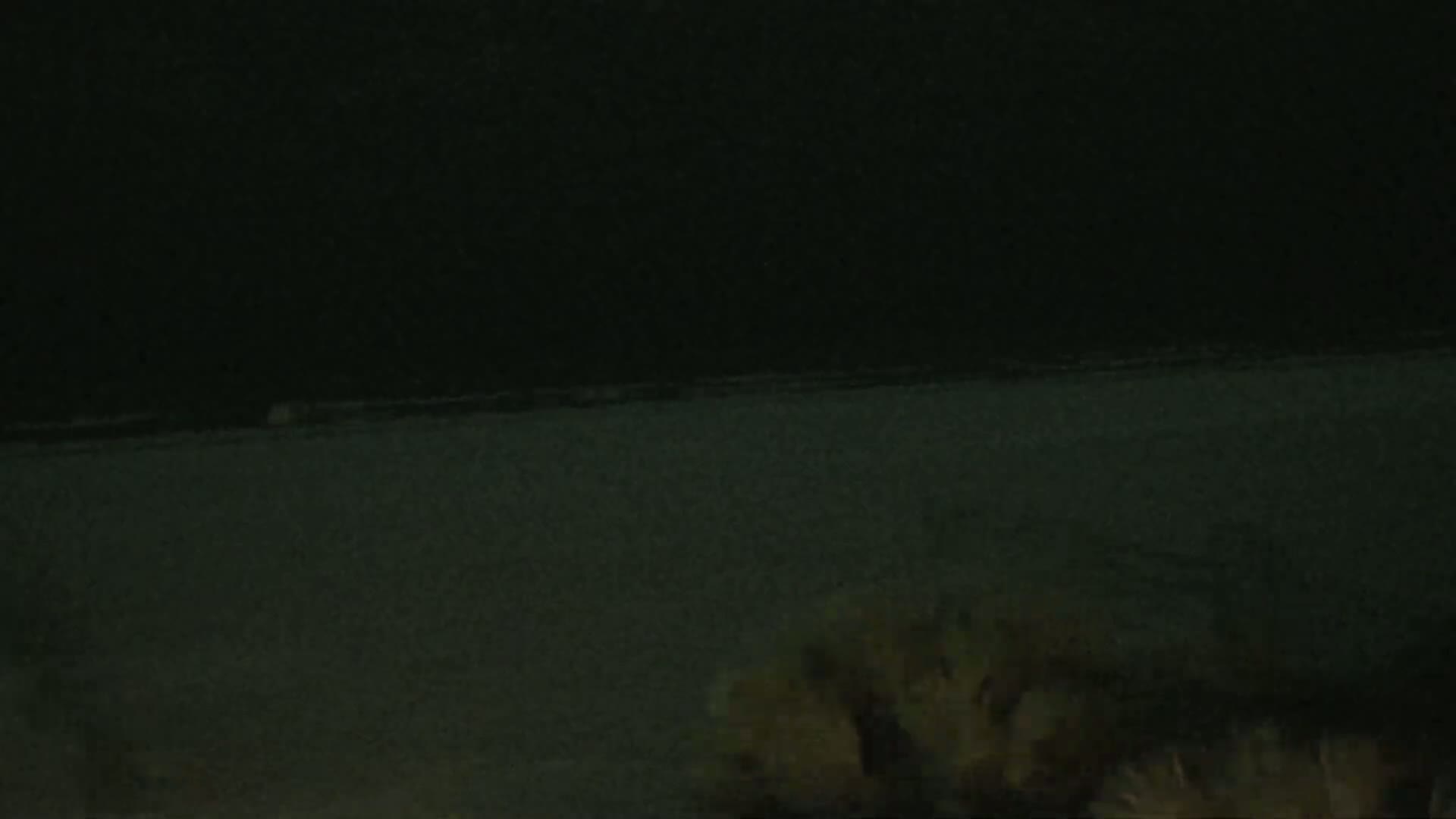 A dark, nighttime view shows a body of water under a dark sky, with light-colored vegetation visible in the lower portion of the frame.