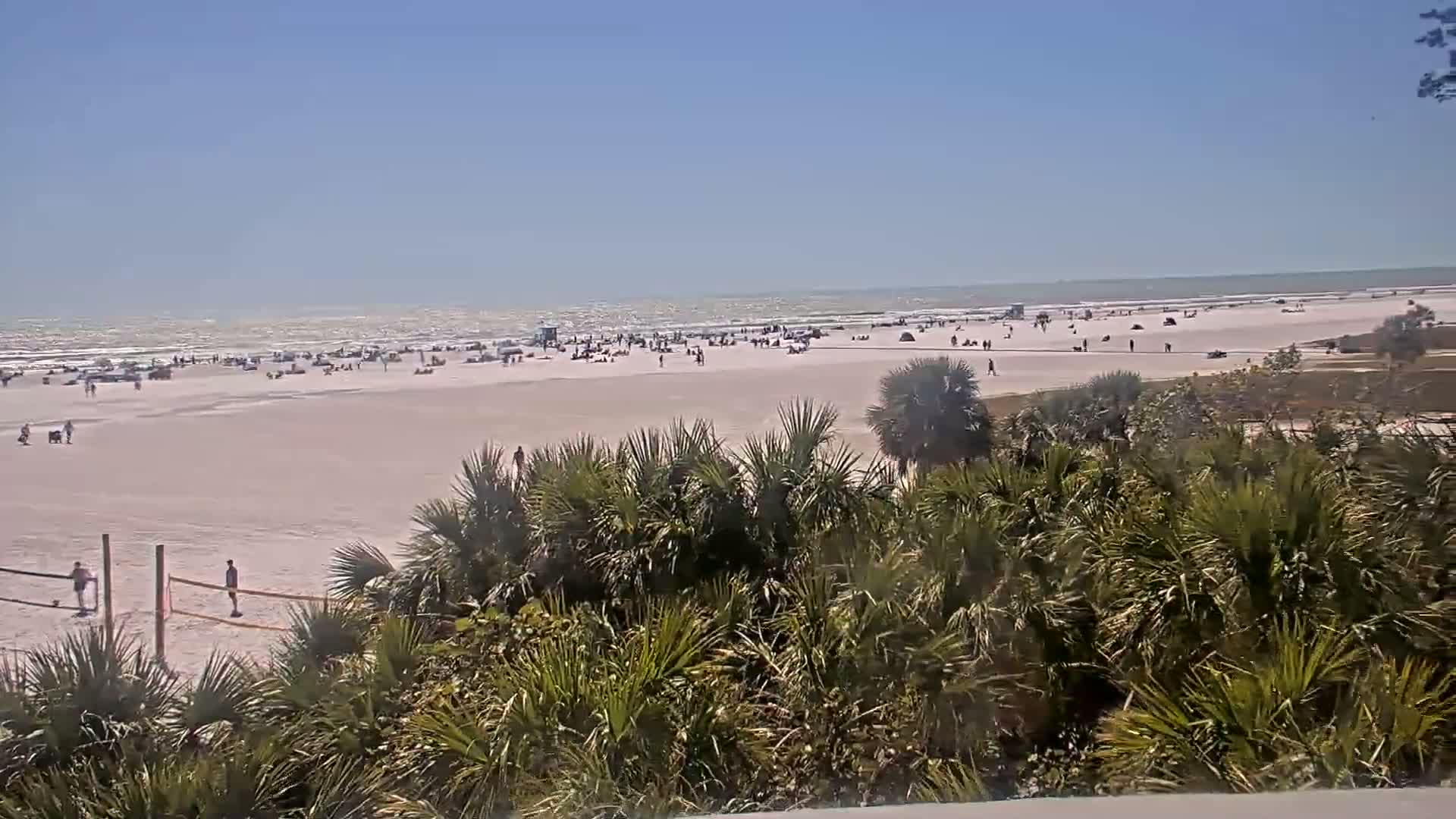 A wide, sandy beach with scattered people and small waves under a clear blue sky is viewed from behind a stand of palm trees.