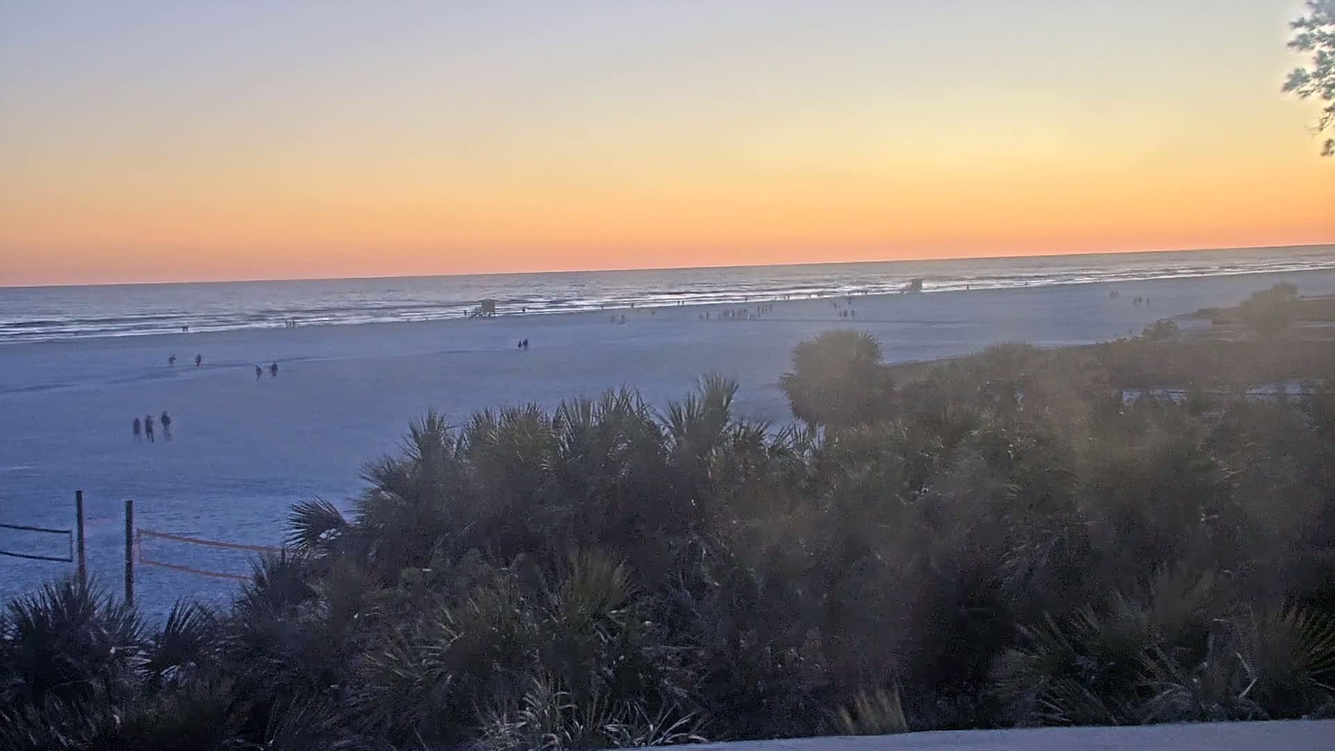 A wide sandy beach with scattered people and a volleyball net is viewed from behind shrubbery during a sunset with a calm ocean in the background.