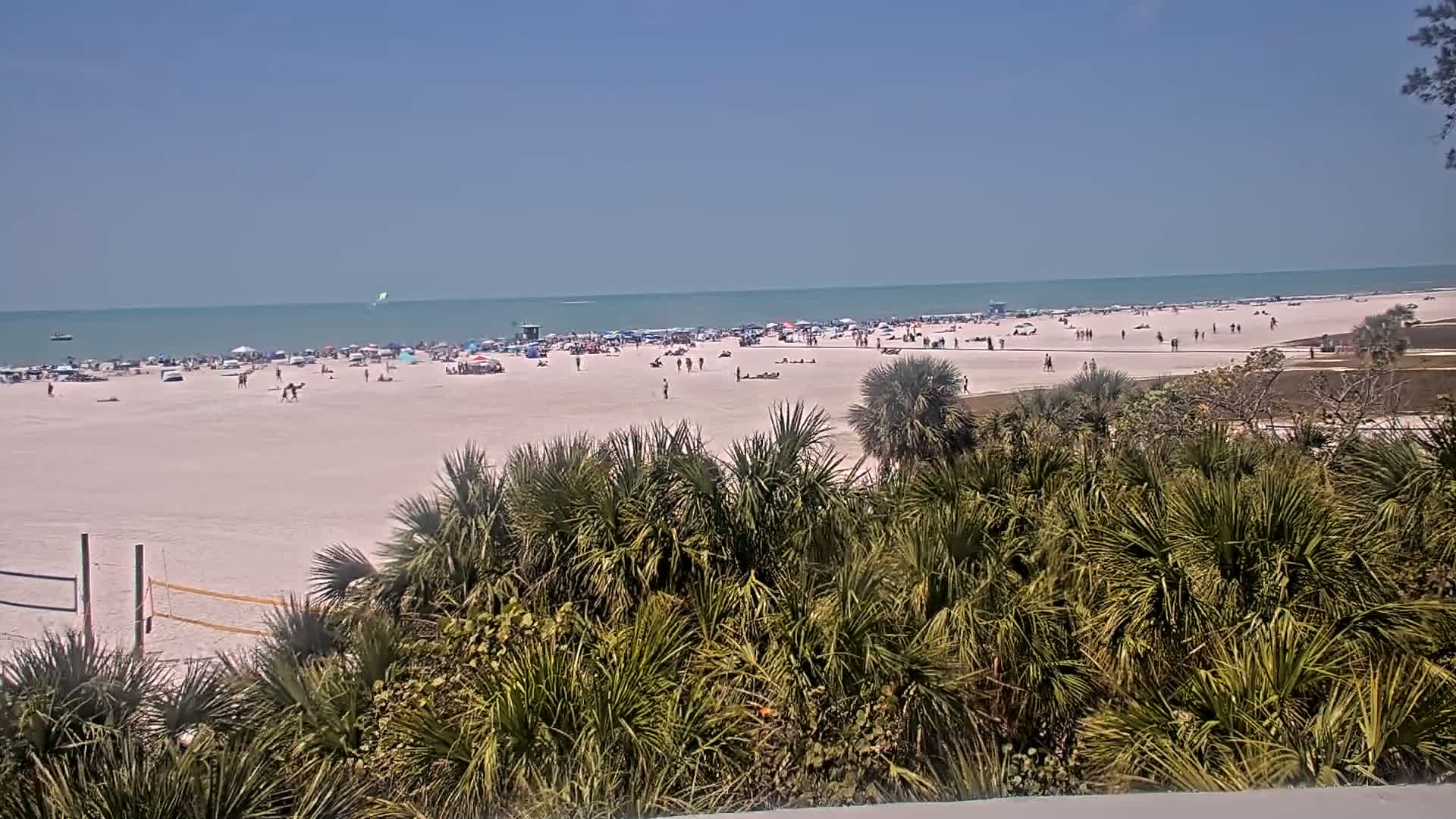 A sandy beach with many people on it, viewed from behind a stand of palm-like vegetation on a sunny day, with calm ocean water in the background.