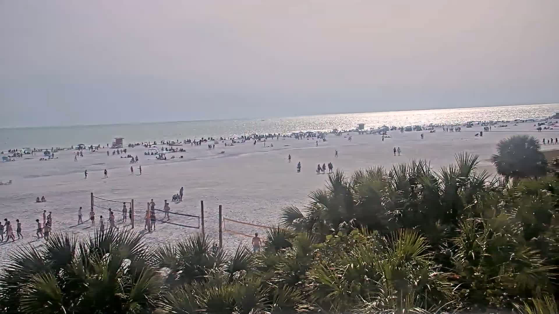 A sunny day at a crowded beach shows people sunbathing, playing volleyball, and walking near the water, partially obscured by palm trees in the foreground.