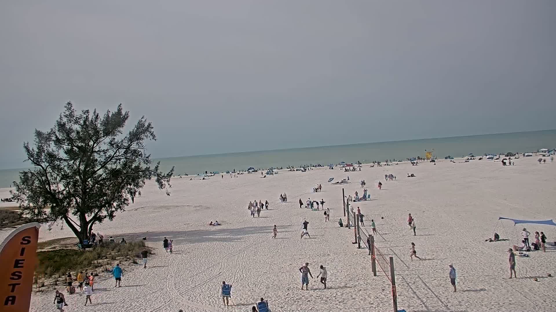 A mostly sunny day at a beach shows many people scattered across the white sand, some playing volleyball near a lone tree, with a calm ocean in the background.