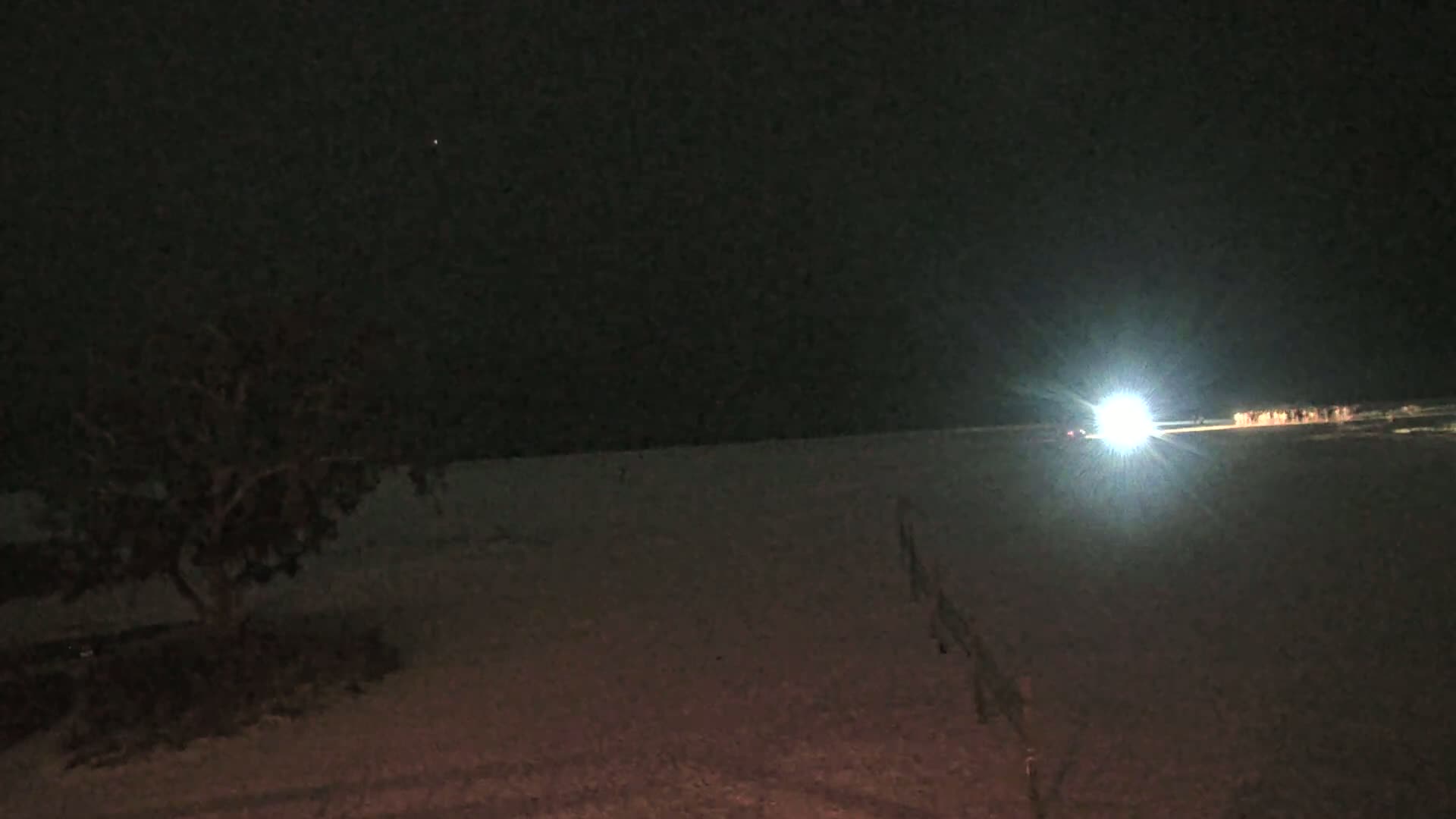 A brightly lit area on a dark beach at night, with a small tree to the left and a dark sky above.