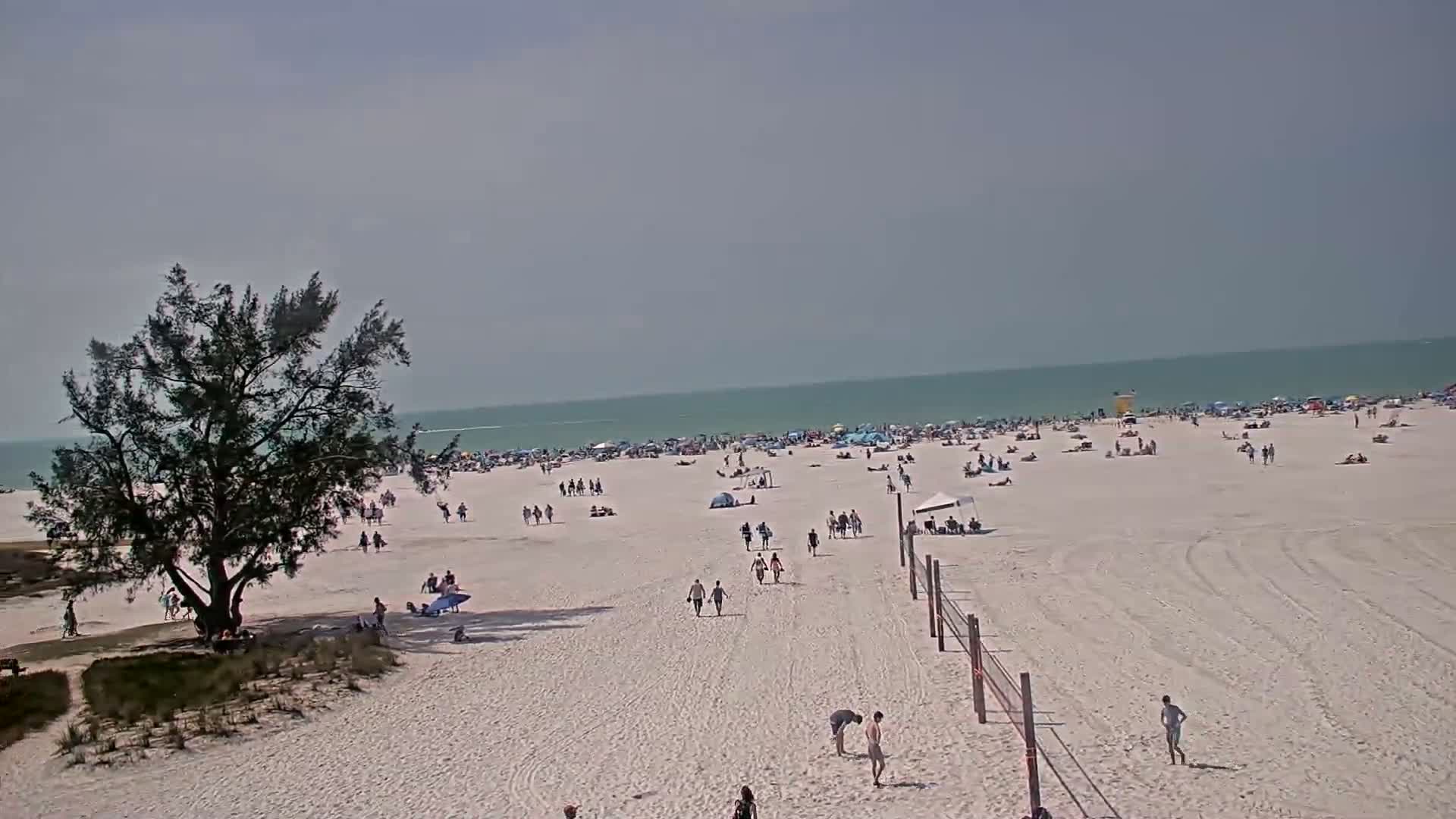 A mostly sunny beach scene shows many people scattered across a wide expanse of white sand near a calm, turquoise ocean, with a large tree situated near the upper left corner.