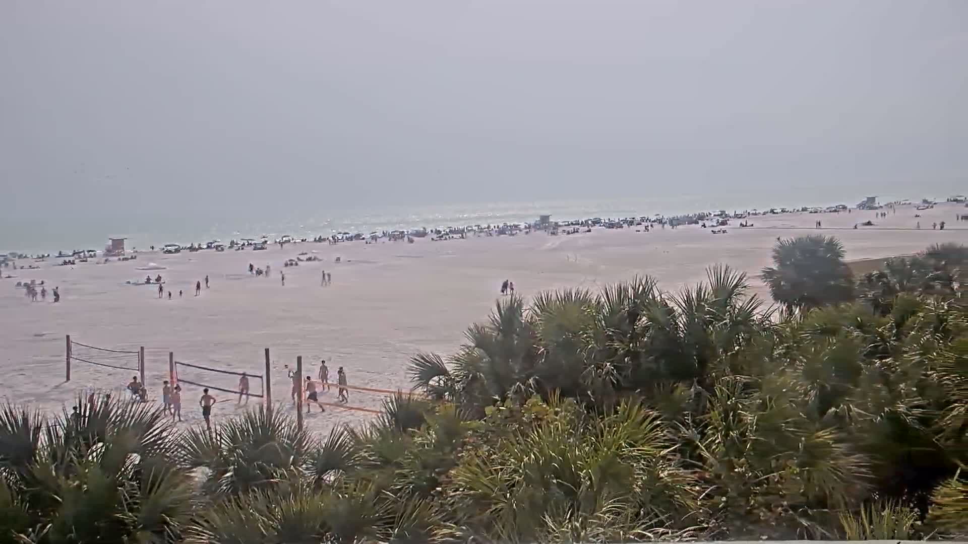 A hazy beach scene shows many people scattered across the sand, some playing volleyball near palm trees, with the ocean in the background.