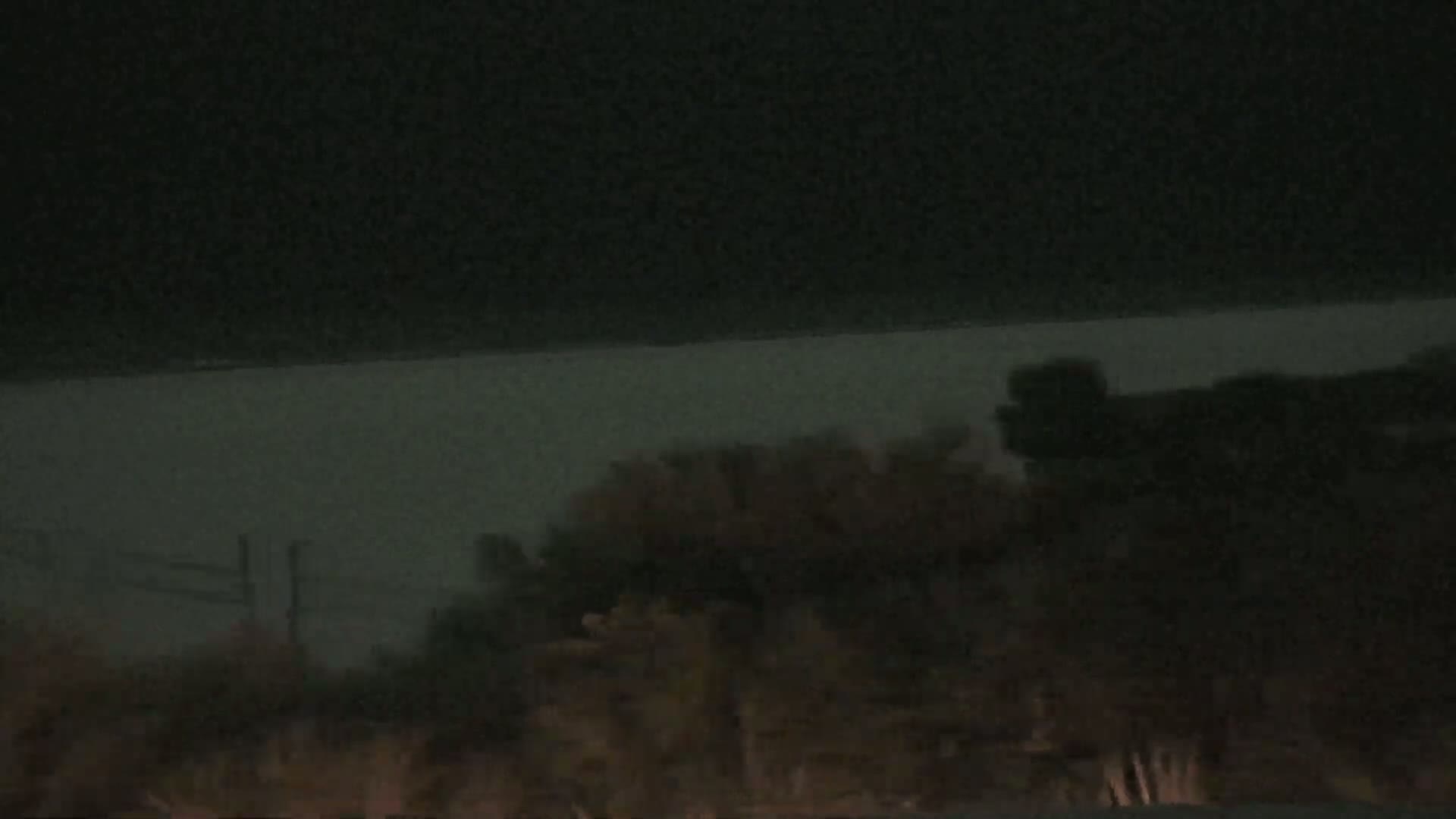 Under a dark night sky, a body of water is visible in the distance beyond a foreground of dark, shadowy vegetation.