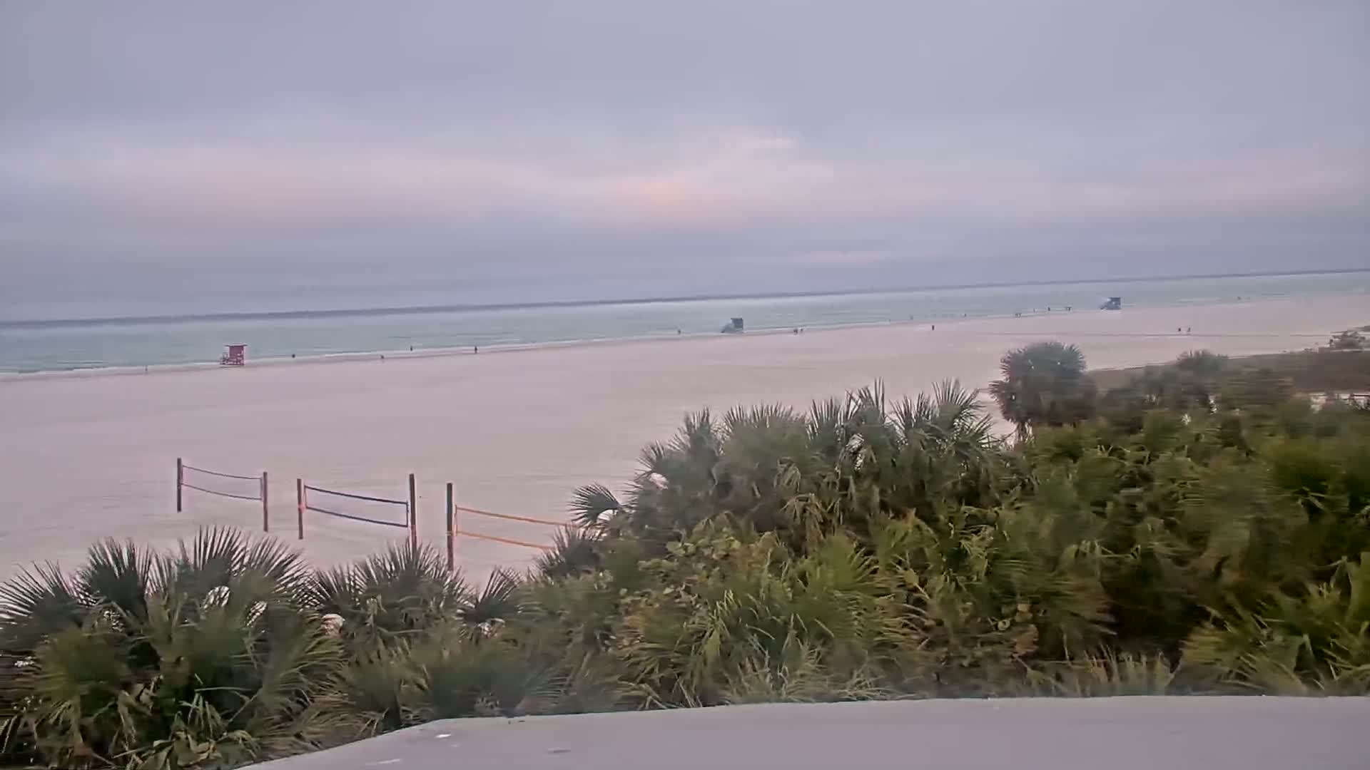 A beach with a calm sea under an overcast sky is viewed from behind a line of palm trees and shrubs, with volleyball nets visible on the sand.