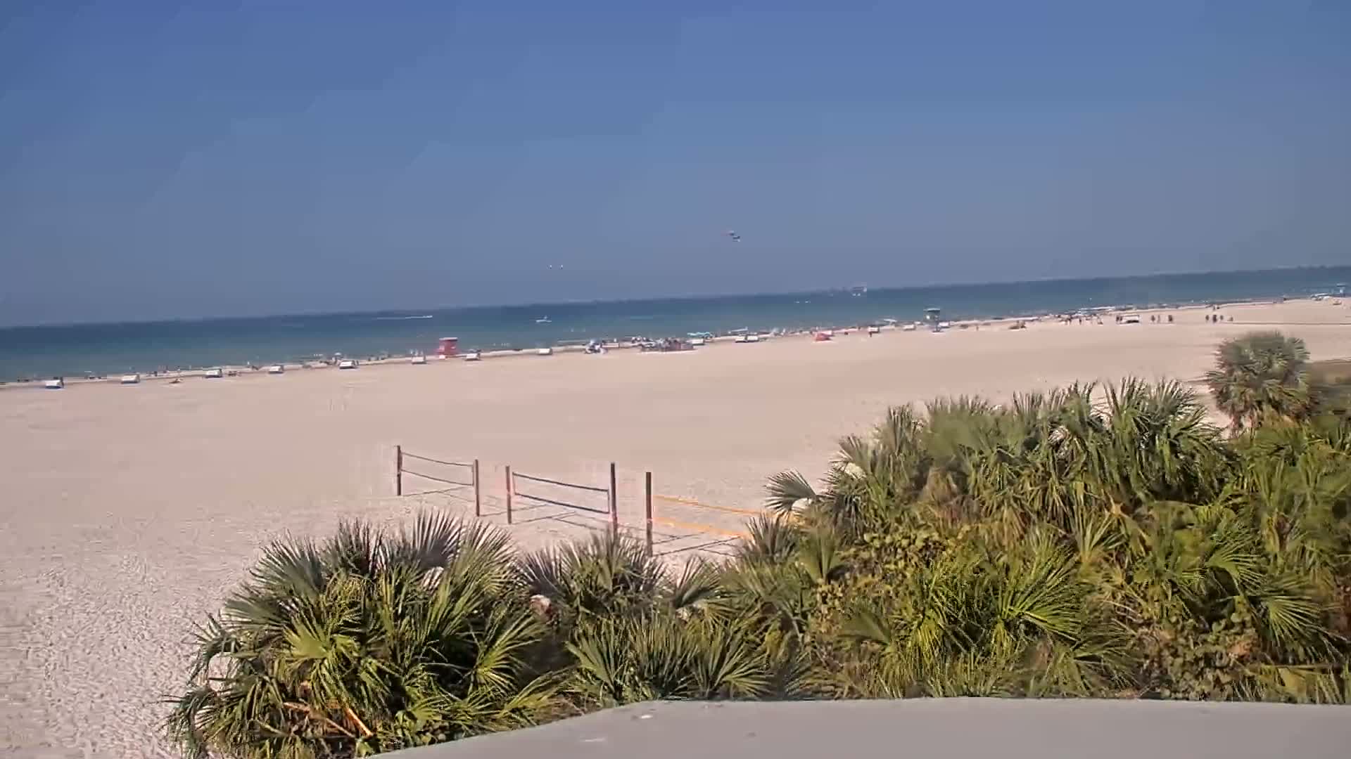 A wide sandy beach with scattered people and a volleyball net is visible from behind a row of palm trees on a sunny day.