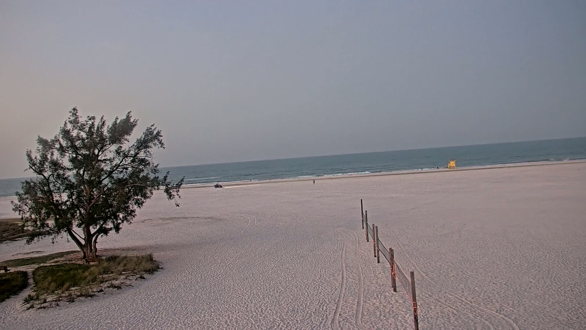 A lone tree stands near a mostly empty beach with a calm ocean under a hazy sky.