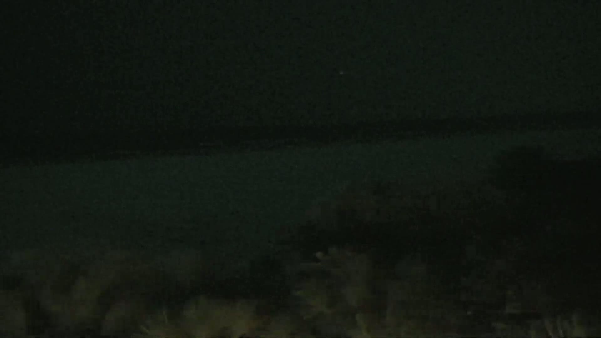 A dark, nighttime scene shows a body of water in the distance and vegetation in the foreground under a mostly clear sky.